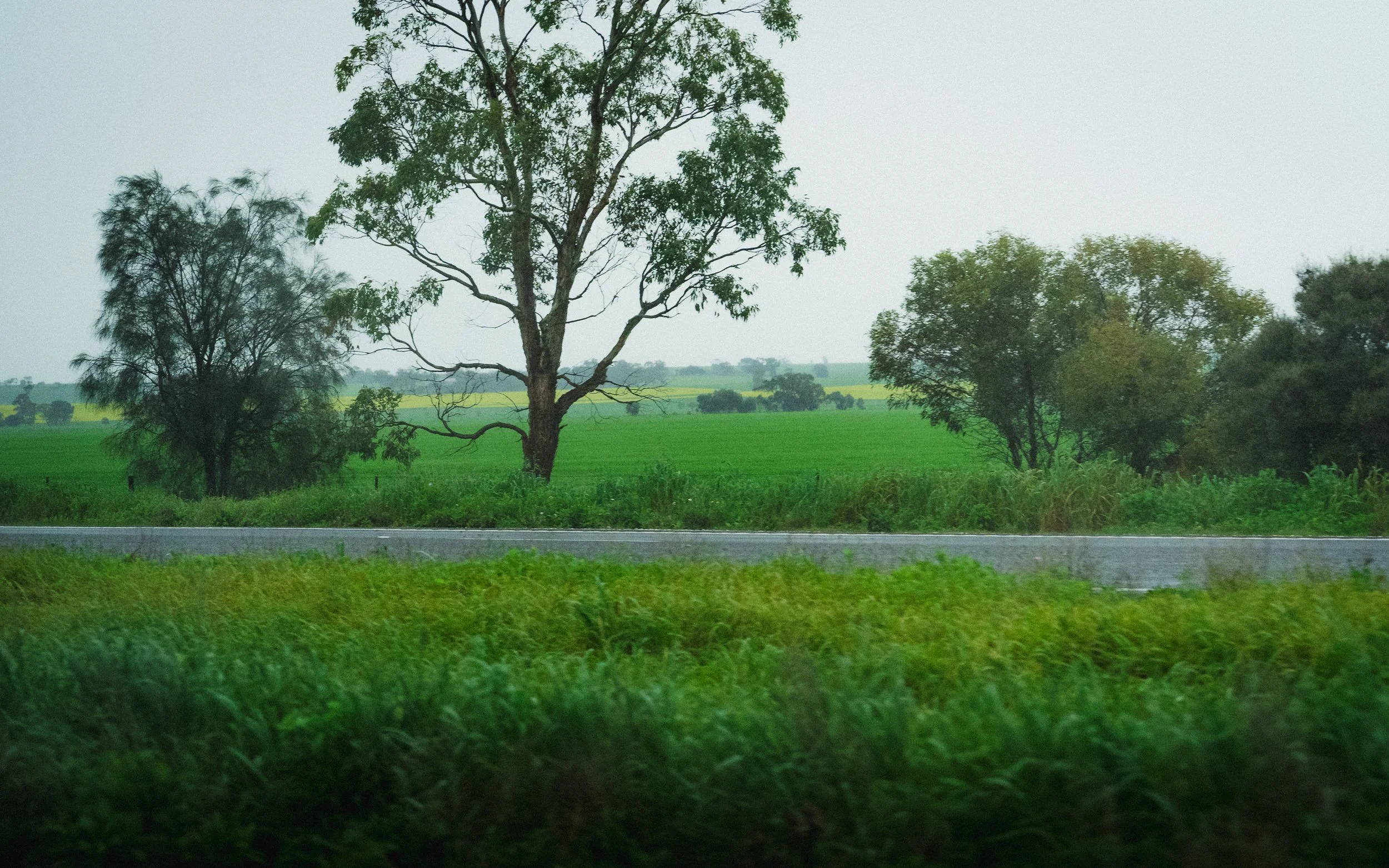 Photo by Olga Dekell - Barossa Valley-07662.jpg