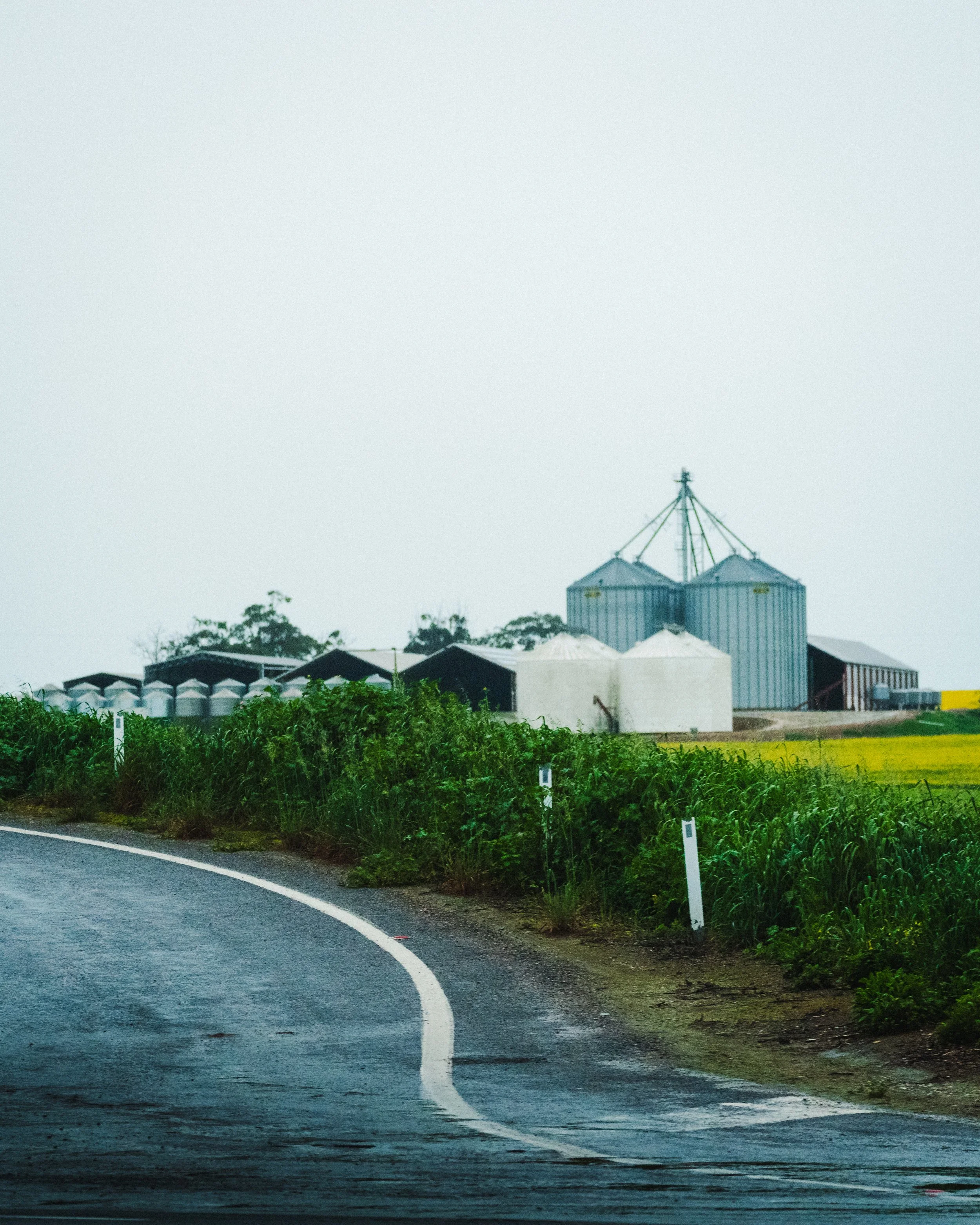 Photo by Olga Dekell - Barossa Valley-07684.jpg