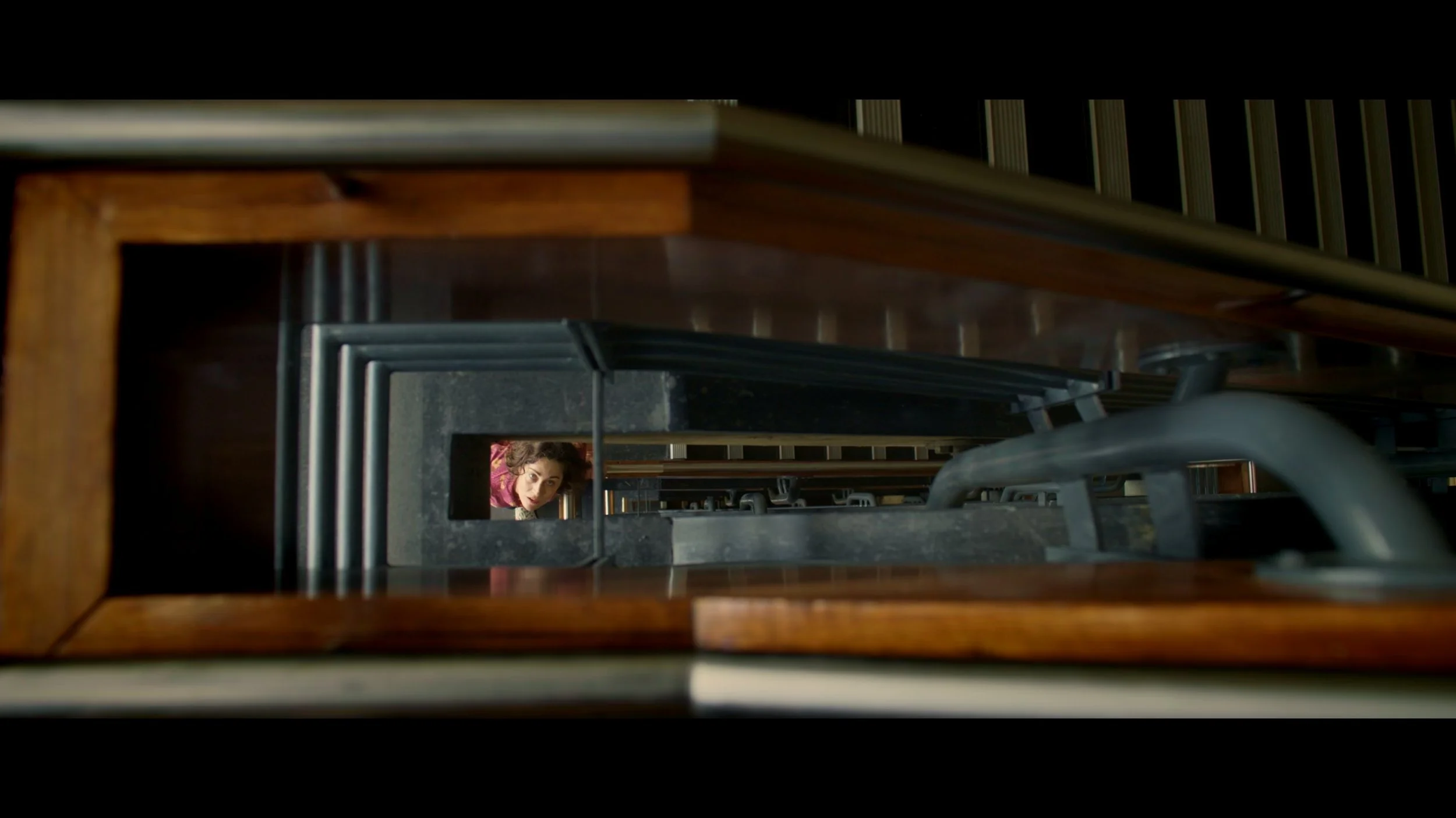 The Adult Section - Short Film (Cinematographer - Olga Dekell)_2.jpg