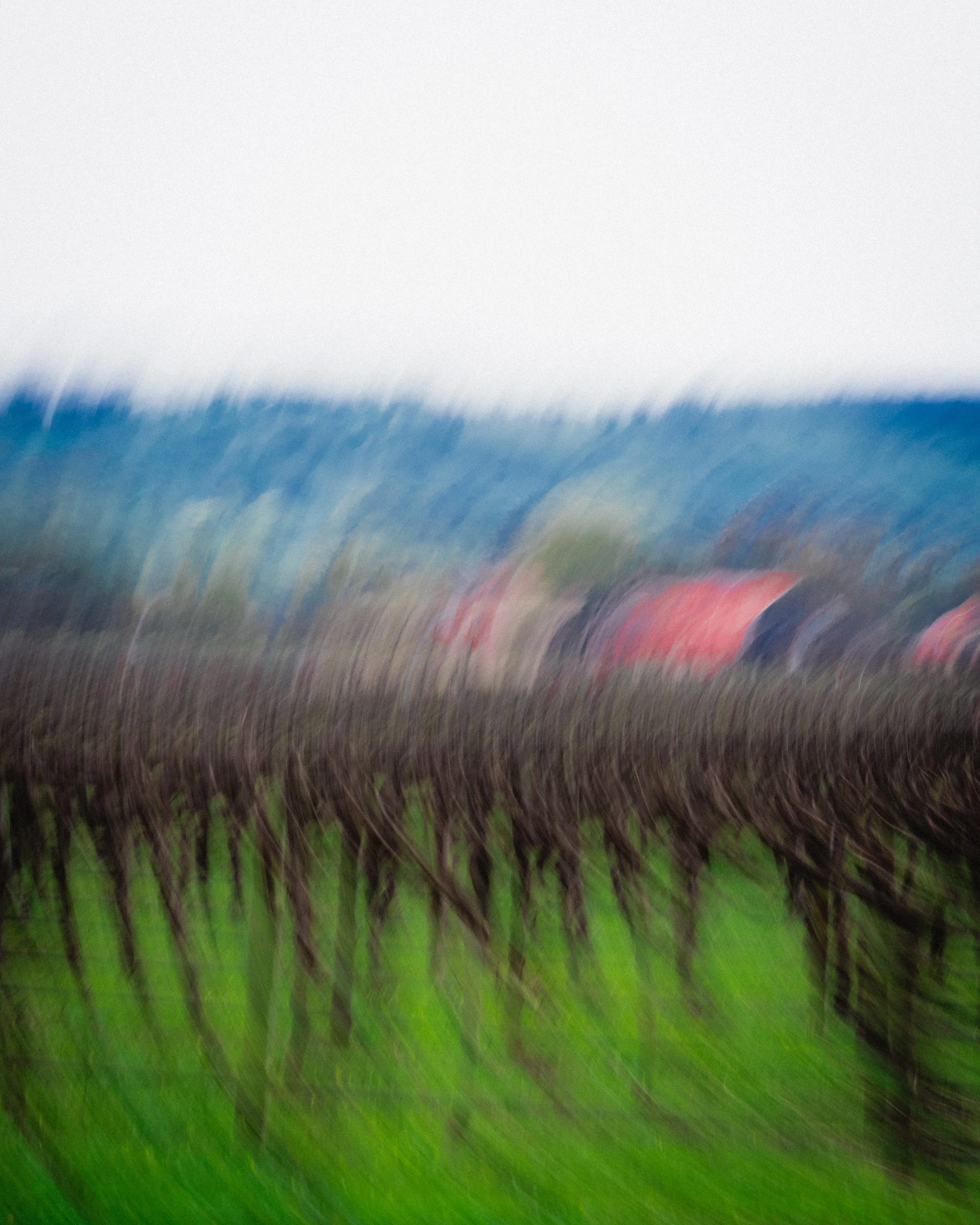 Photo by Olga Dekell - Barossa Valley-07638.jpg