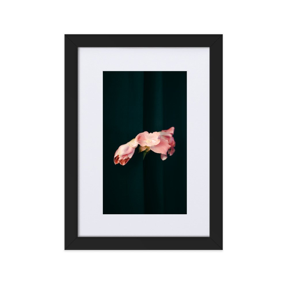 matte-paper-framed-poster-with-mat-(cm)-black-21x30-cm-transparent-63d81a4e1d15f.jpg