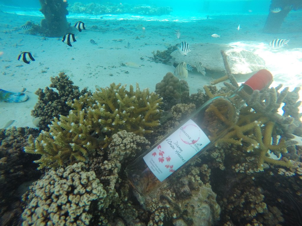 Bora Bora 10.jpeg