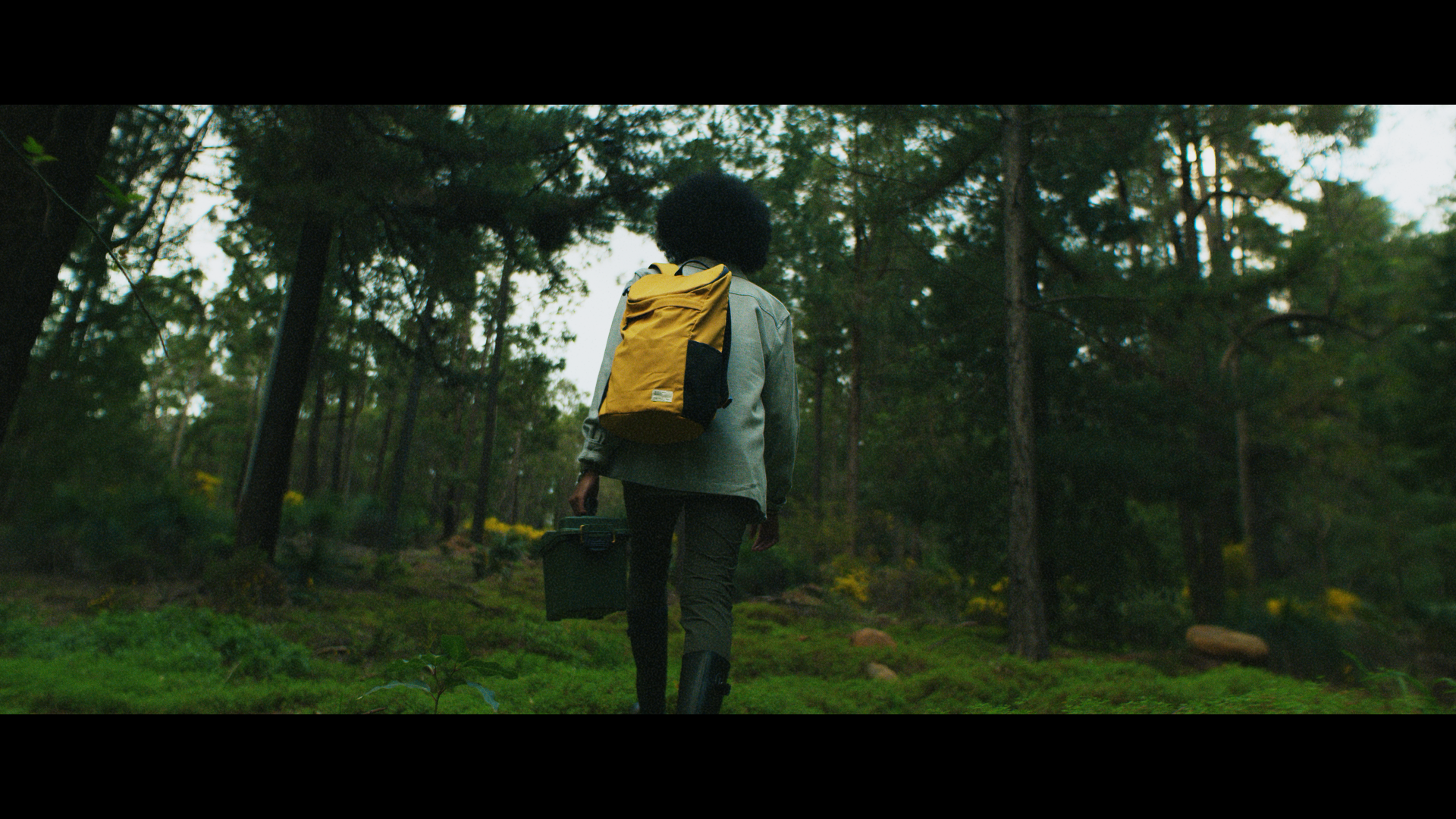 WOS_STILLS_1.21.1.png