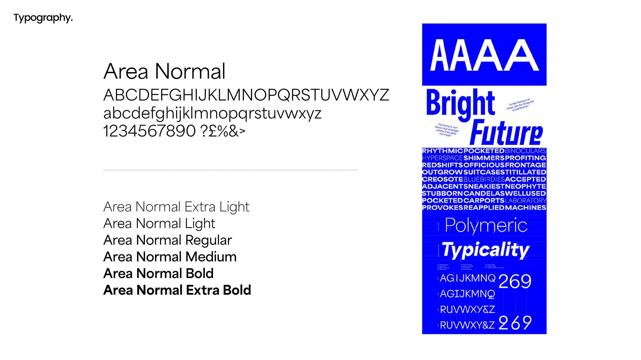 Page showing various typography styles and font types, including samples of uppercase and lowercase letters, numbers, and symbols, with sections labeled 'Area Normal,' 'Extra Light,' 'Light,' 'Regular,' 'Medium,' 'Bold,' and 'Extra Bold.' There are words like 'AAAA,' 'Bright,' 'Future,' and blocks of text, with a blue section containing various font names and characteristics.