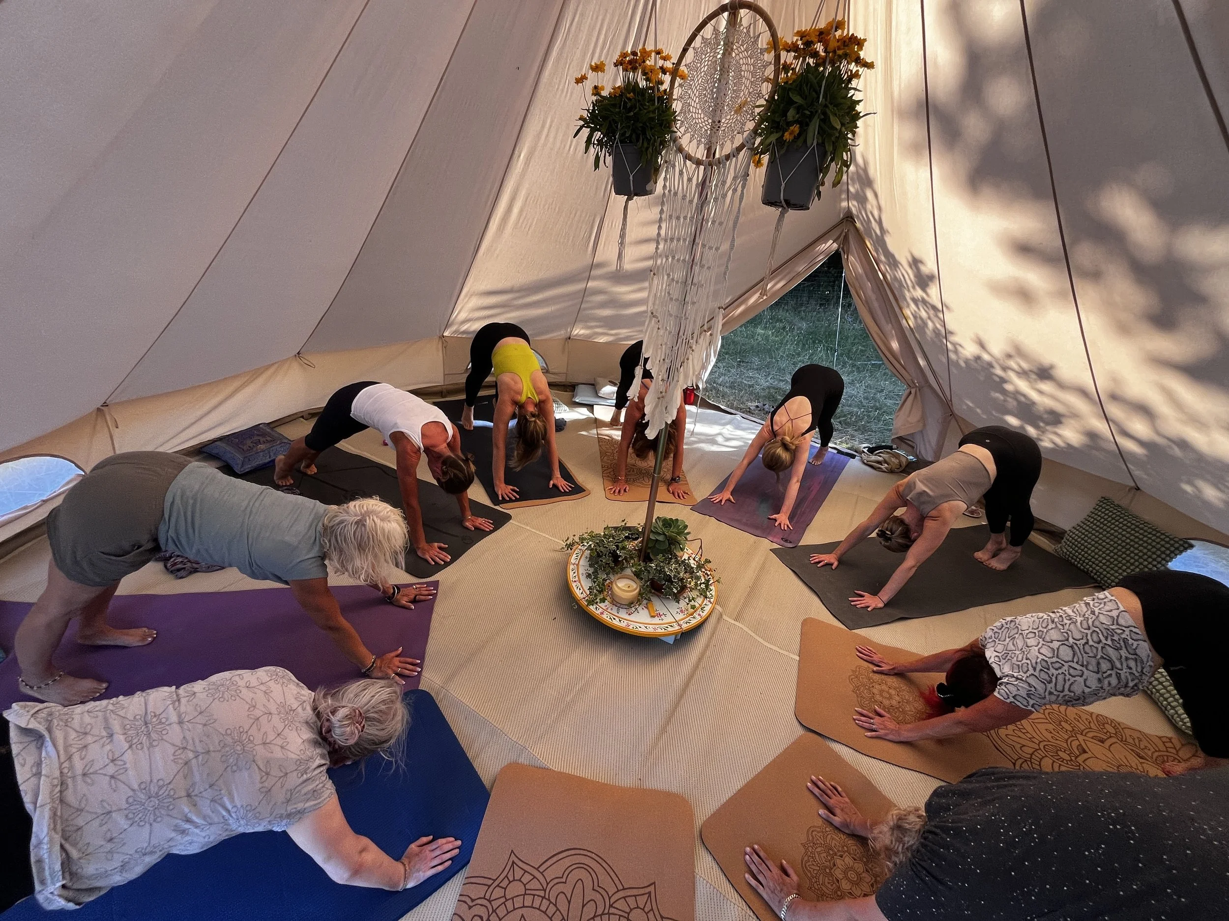 enwild retreats willowbrook farm kidlington hampton gay oxfordshire