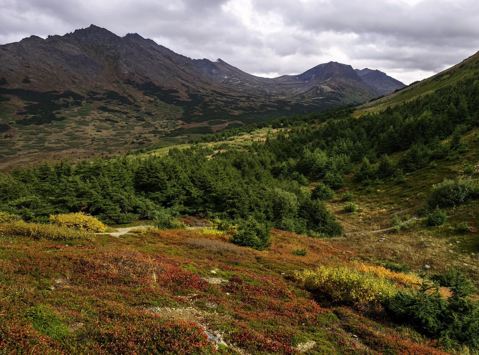 Alpine Tundra in Autumn, Chugach State Park, Alaska.jpg