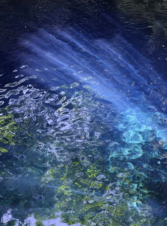 Rays of sunlight illuminate the crystal-clear water of this Yucatan cenote creating beautiful hues of blue and turquoise.