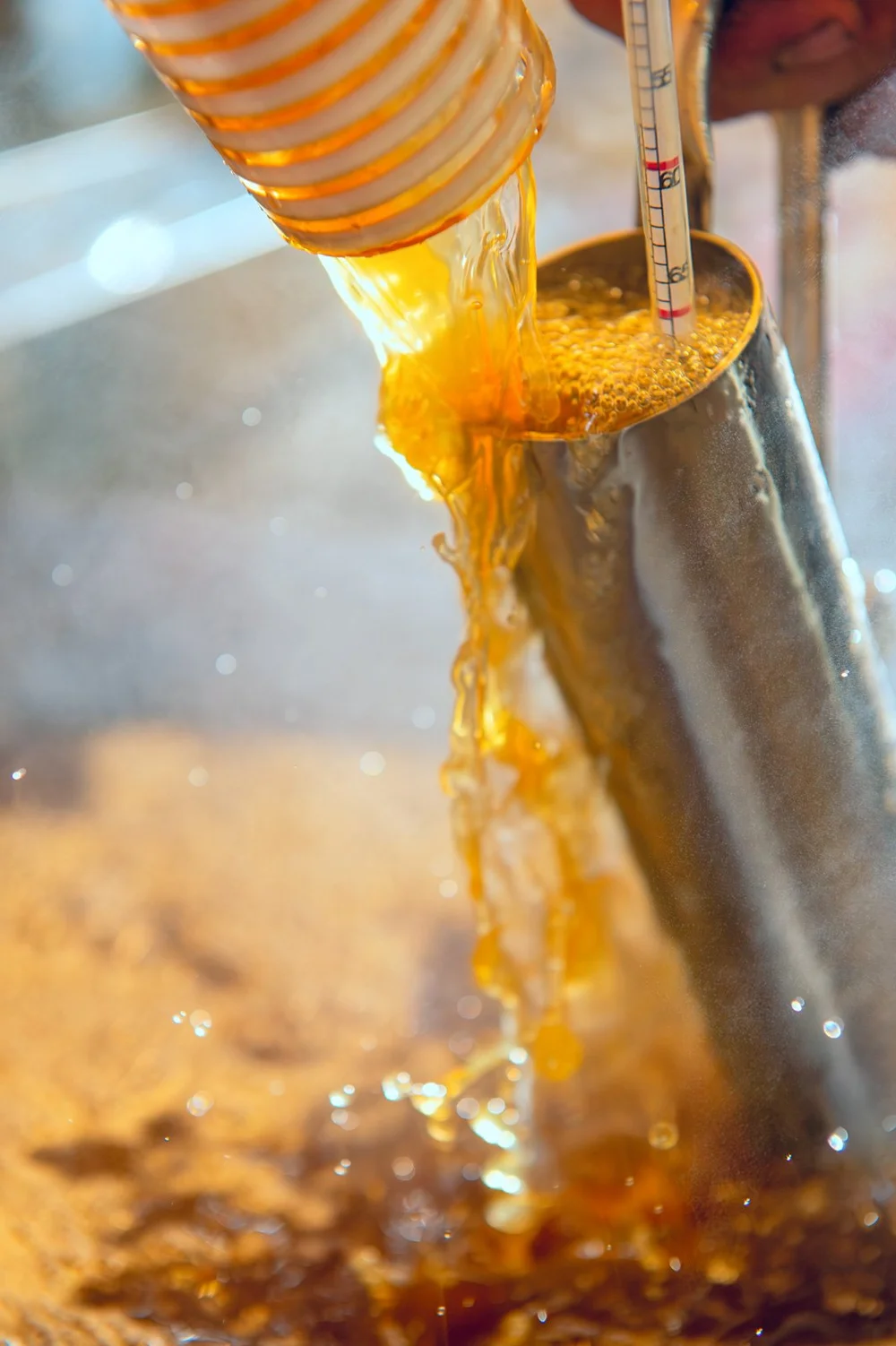 Maple Syrup Hydrometer Test — Jeff Schneiderman Photography