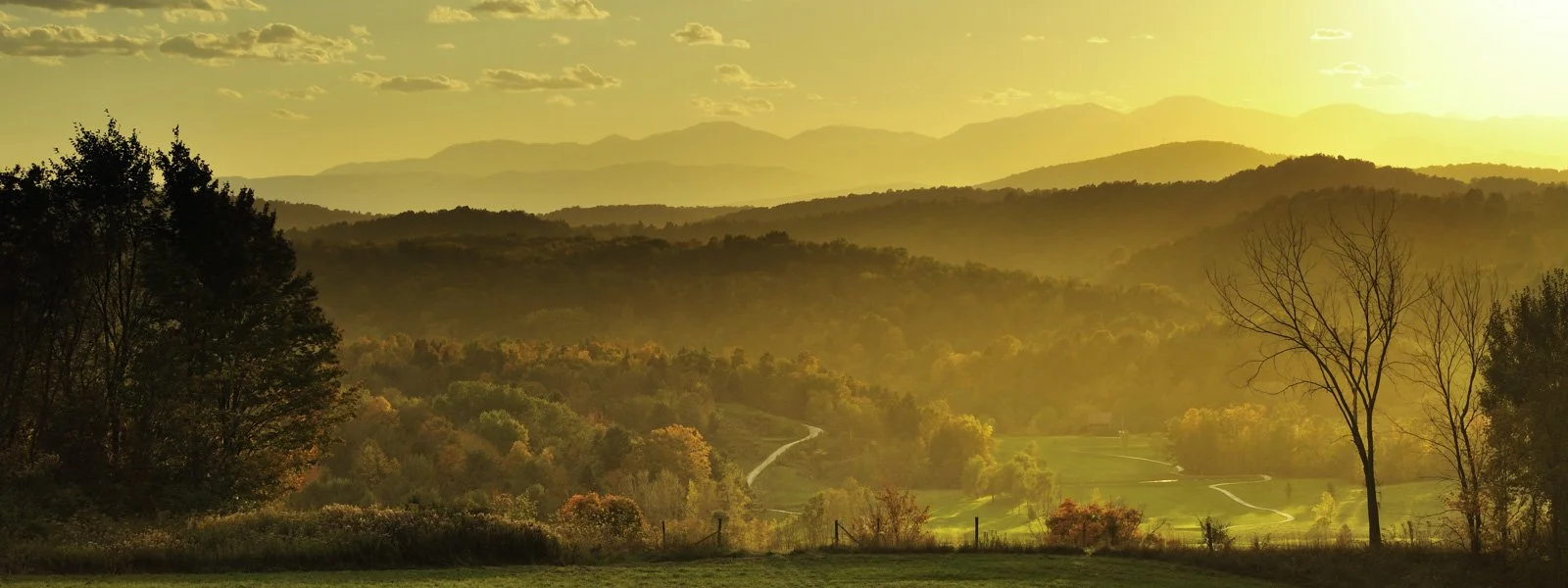 Golden Sunset