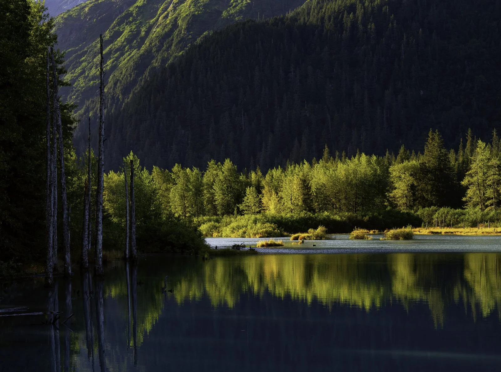 The early morning sun and autumn color enhances the blue waters of this Portage Valley, Alaska pond.