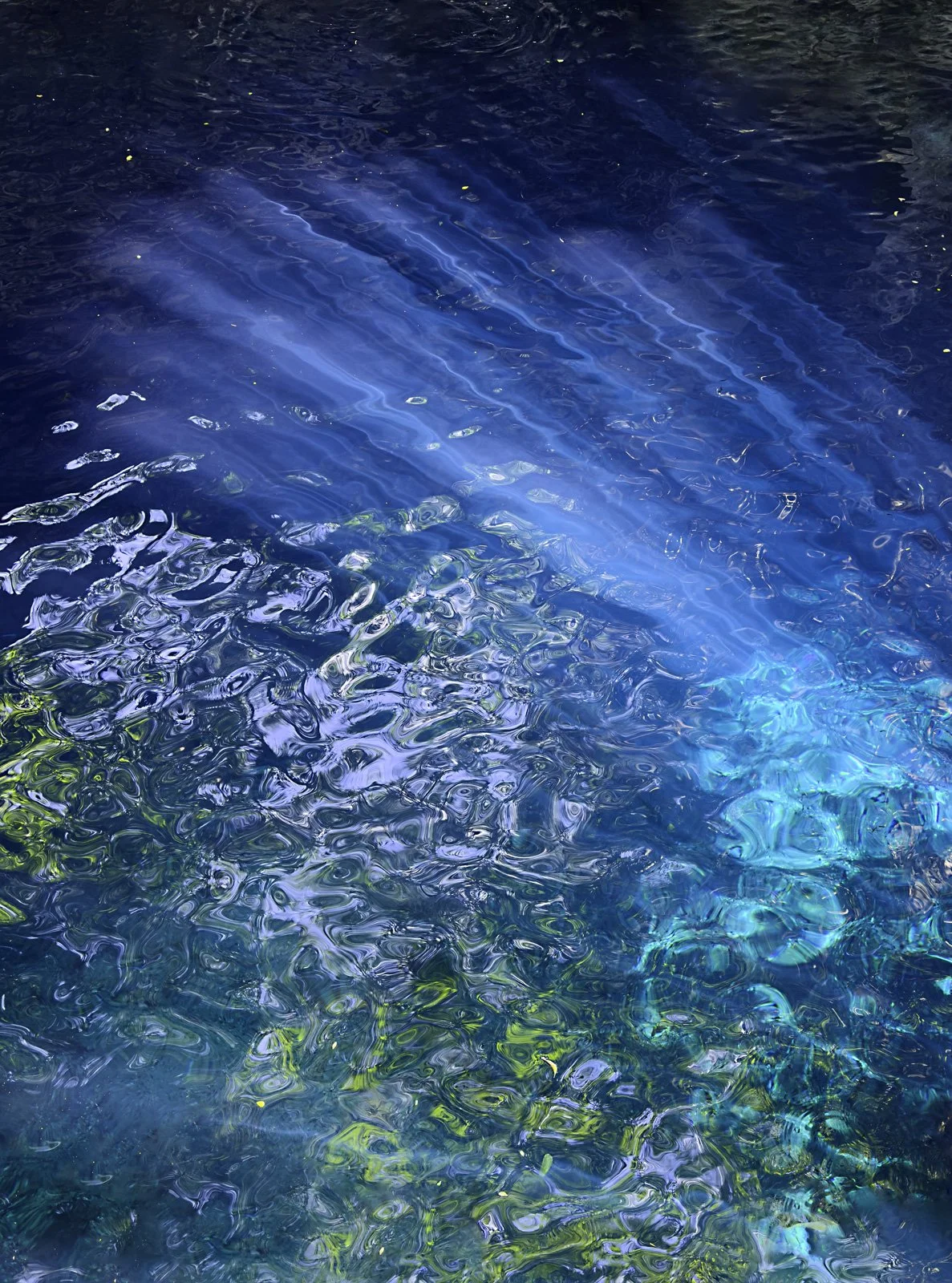 Cenote Rays.jpg