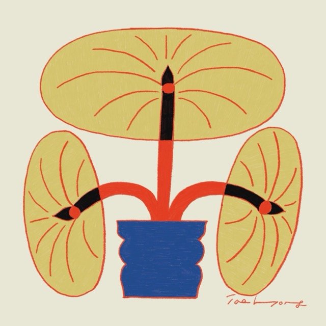 Plant 51 Medium.jpeg