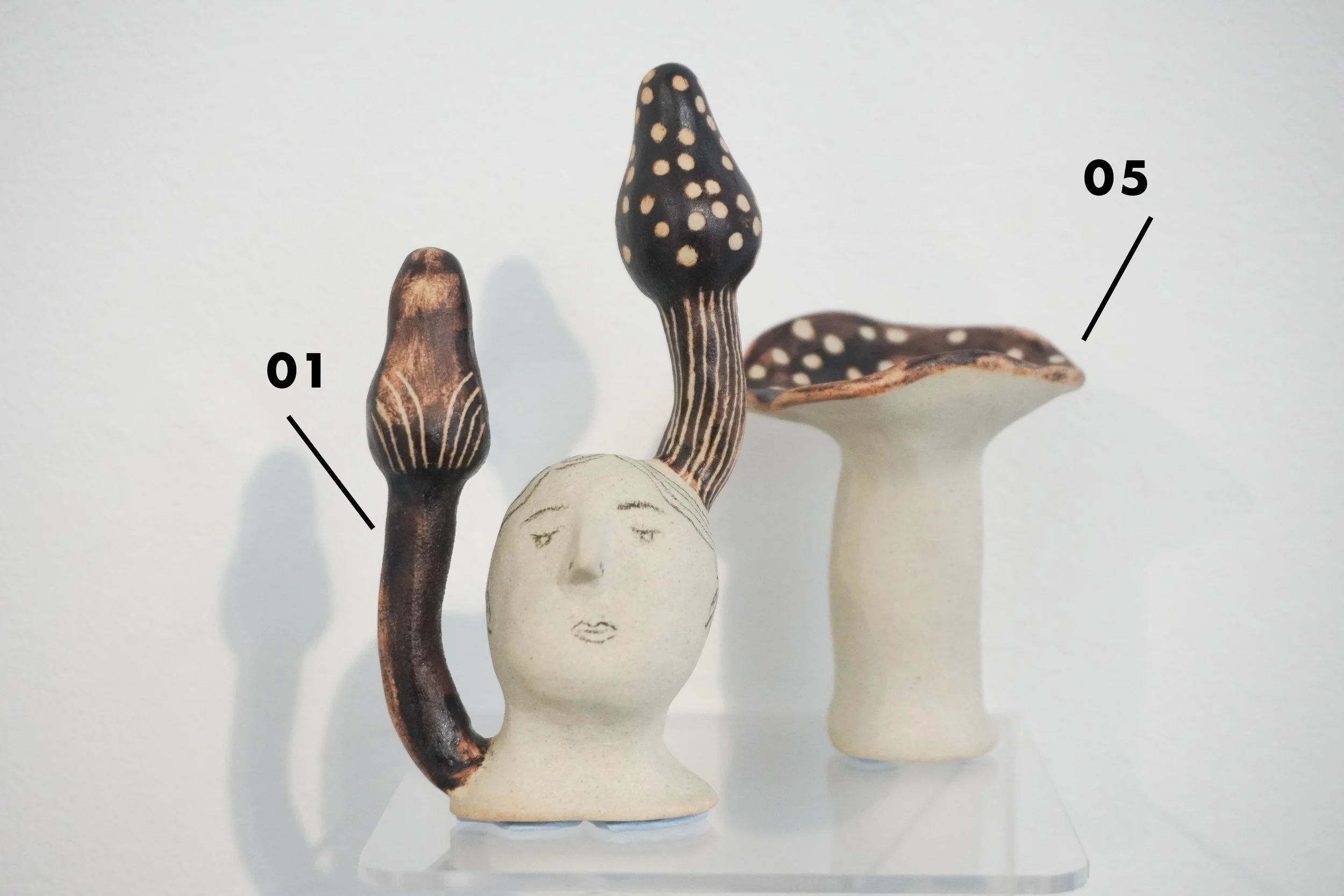 Fungified Ceramic 01 & 05.jpg