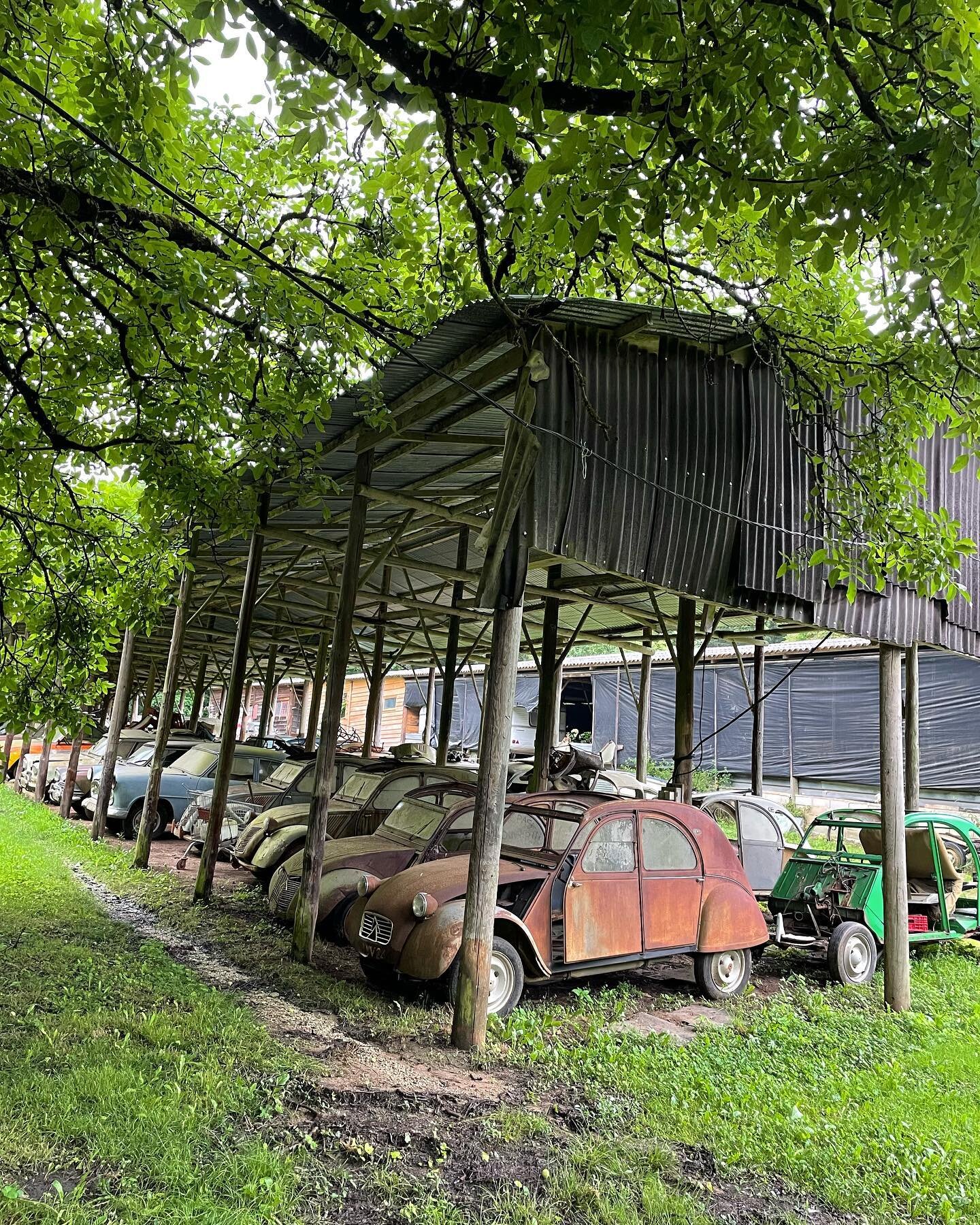 2CV&hellip;. 
#2cvcitroen #piecesdetacheesautomobiles