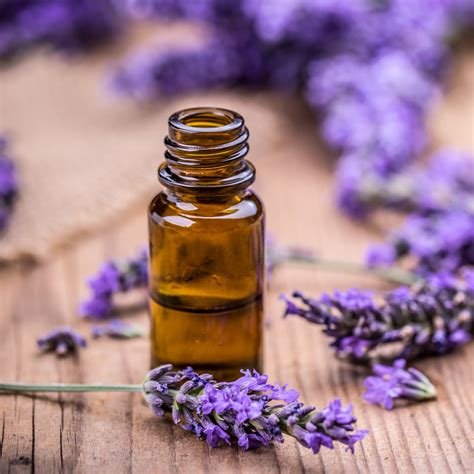 An Introduction to Essential Oils and Aromatherapy - Hands-On Workshop