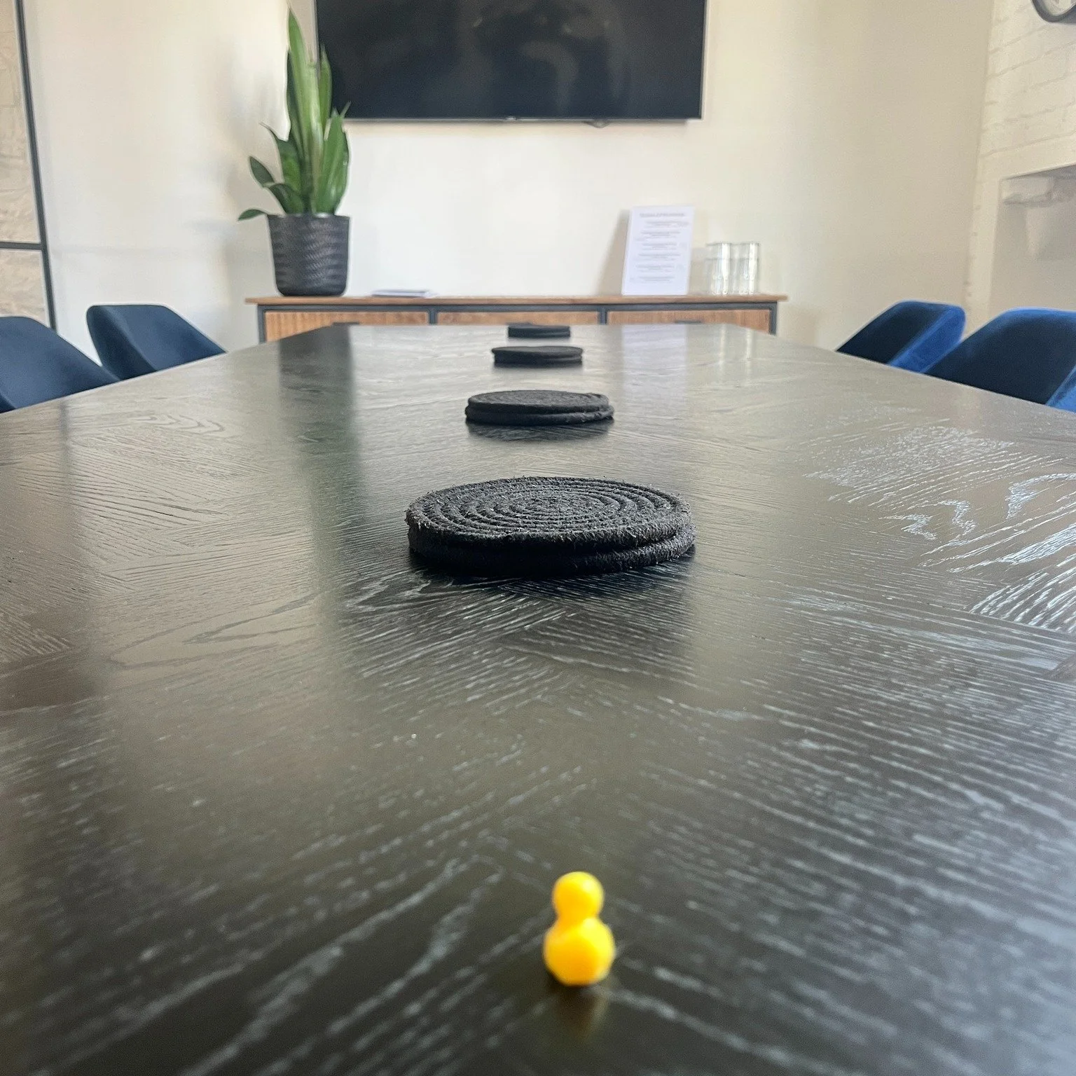 First foray into our large meeting room for the LIME TREE WORK DUCK.  Needless to say she was impressed! 

If you want to impress someone, come and see it for yourself.  We have comfortable seating for up to eight people, a 55&quot; wall mounted scre