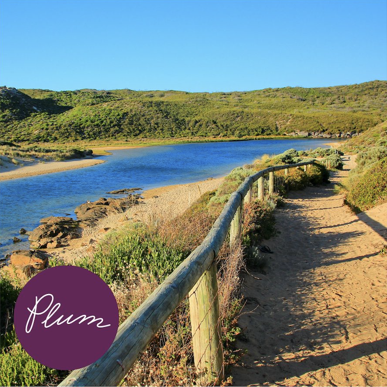 The Path Less Travelled with Plum Travel