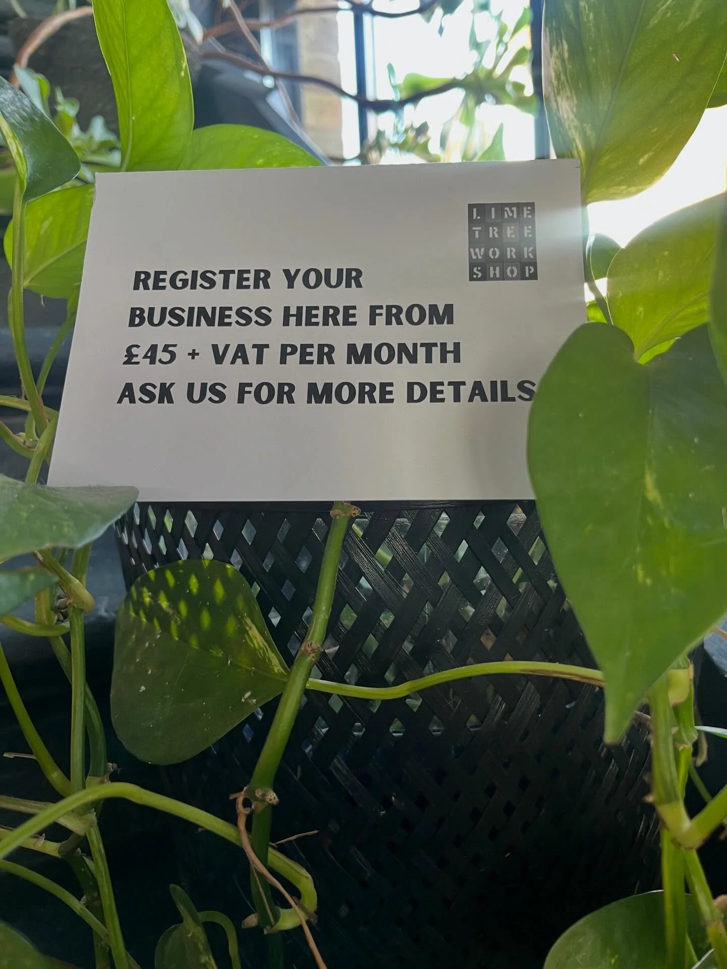 A professional business address can do wonders for your company&rsquo;s credibility. Contact us today for more details: hello@limetreeworkshop.co.uk