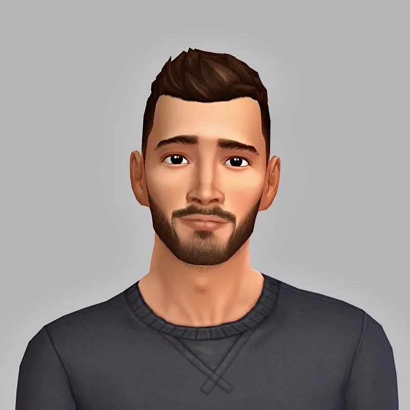My future content wishlist for The Sims 4