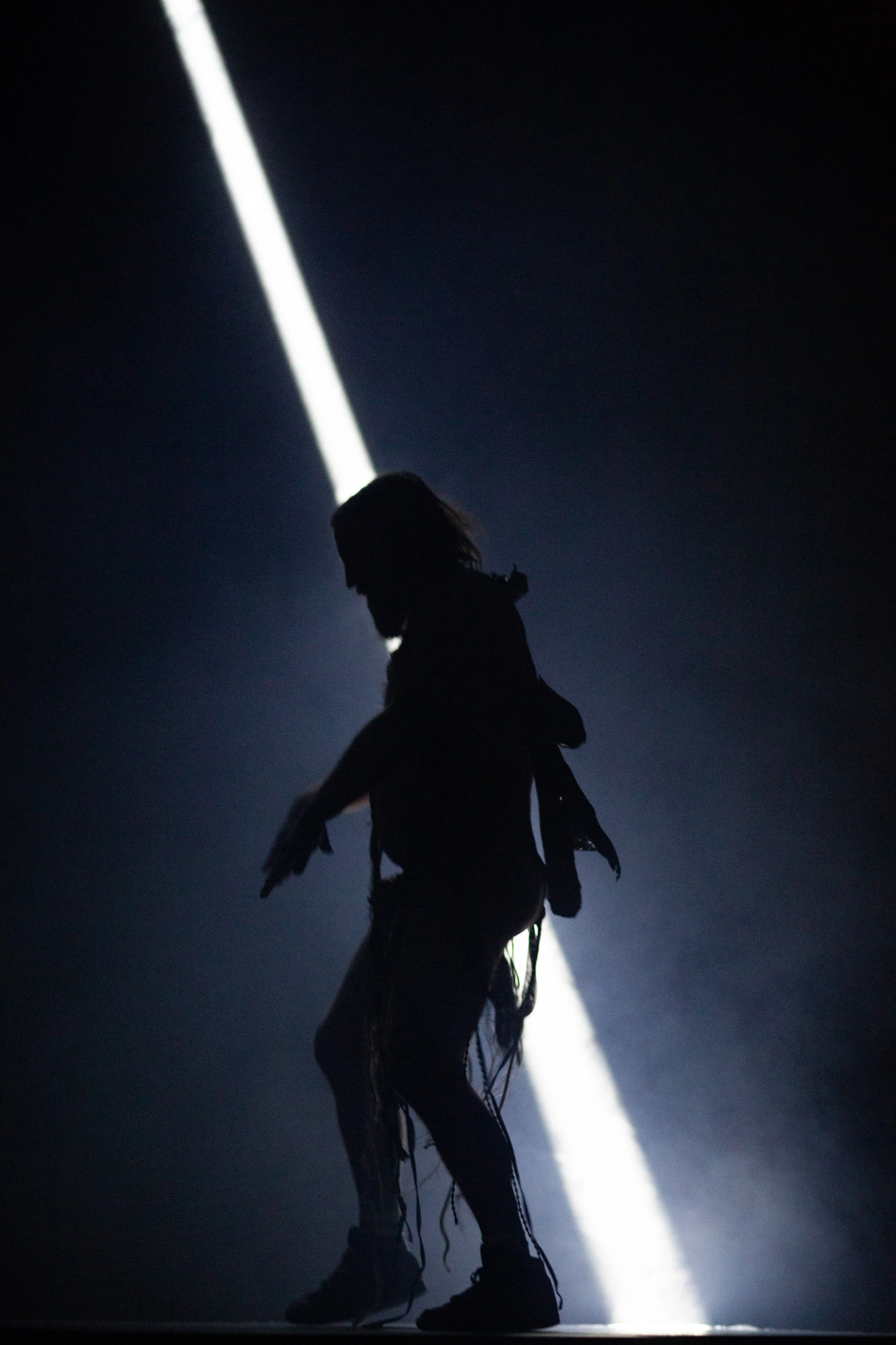 Shadowboxing-4491-CelineRichard.jpg