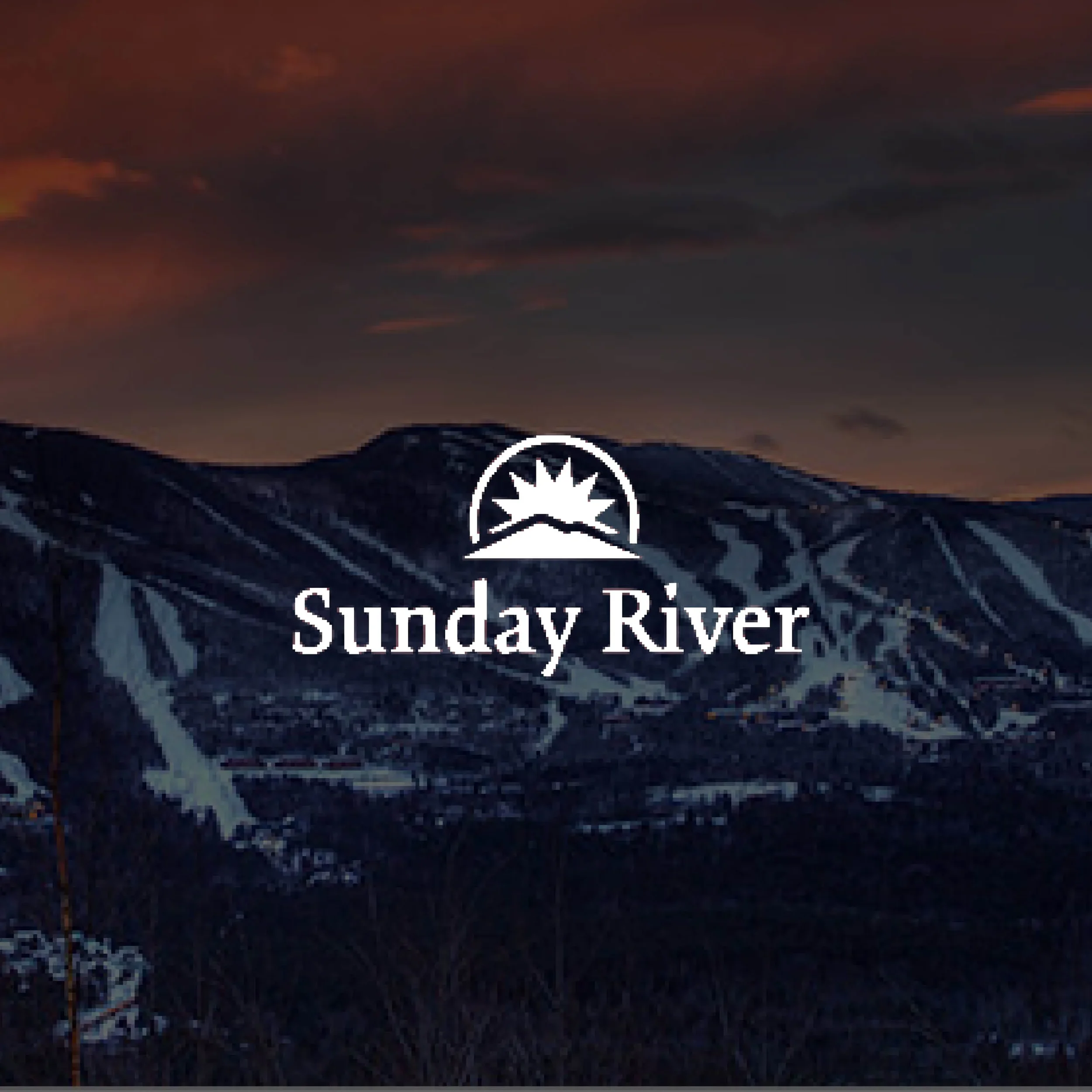 Square Space Clients—9_optimized.webp