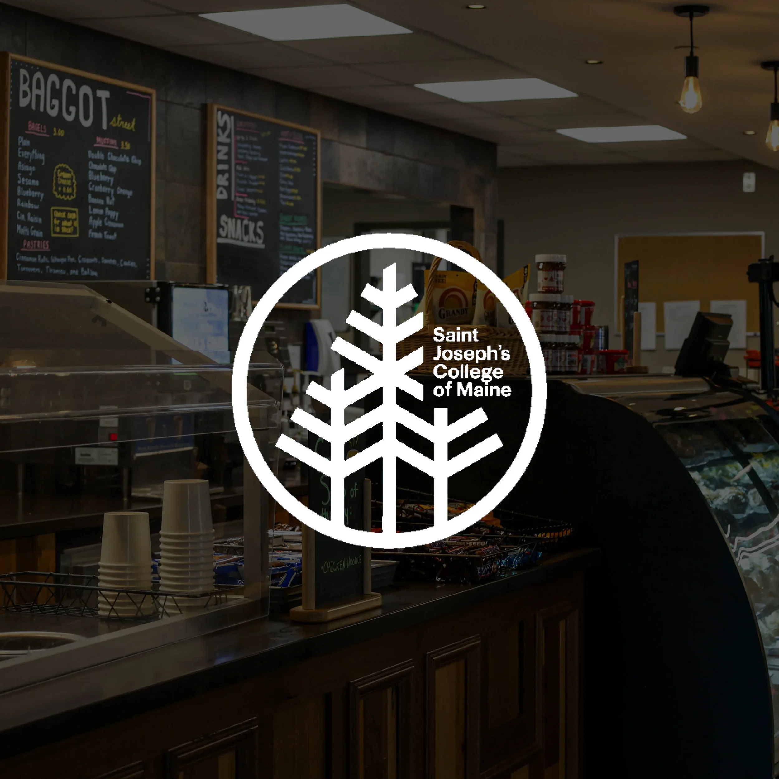 Square Space Clients—8_optimized.webp