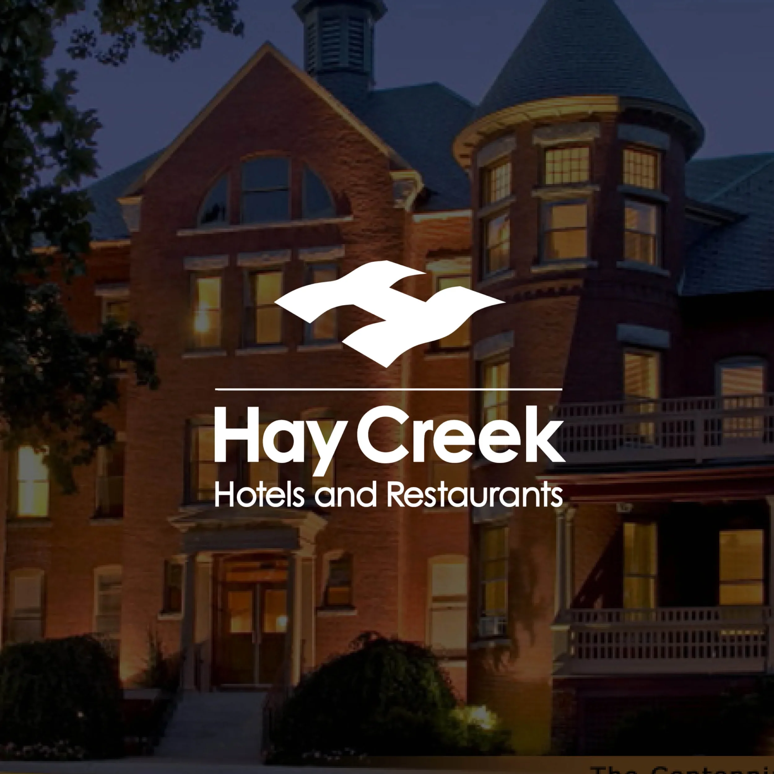 Square Space Clients—3_optimized.webp