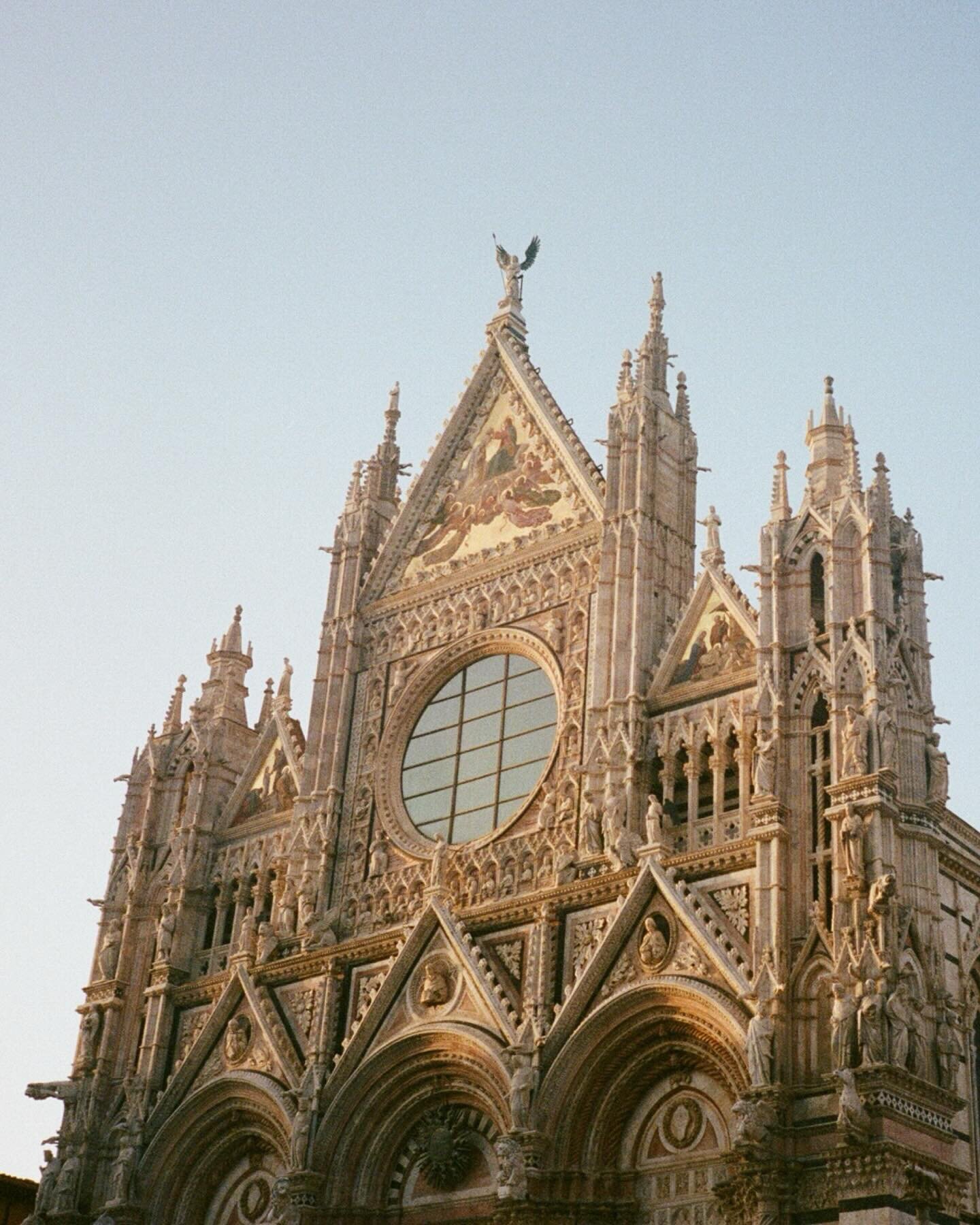 Siena + Pisa on film. 
#siena #sienaitaly #pisa #leaningtowerofpisa #tuscany #italy #filmphotography #portra400 #kodakportra #kodakportra400 #filmsnotdead #shootfilm #olympusmjuii #olympusmju2