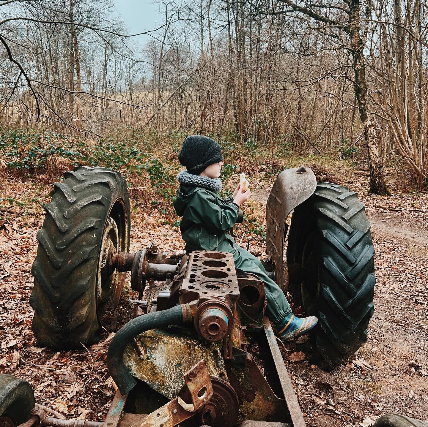 Seems monthly roundups are a thing. So here&rsquo;s my January.
1. The troll in the woods, having his sandwich on his favourite rusty tractor.
2. &ldquo;Do I really have to come downstairs to bed&rdquo;
3. BMTH from the worst seats ever at the O2.
4.