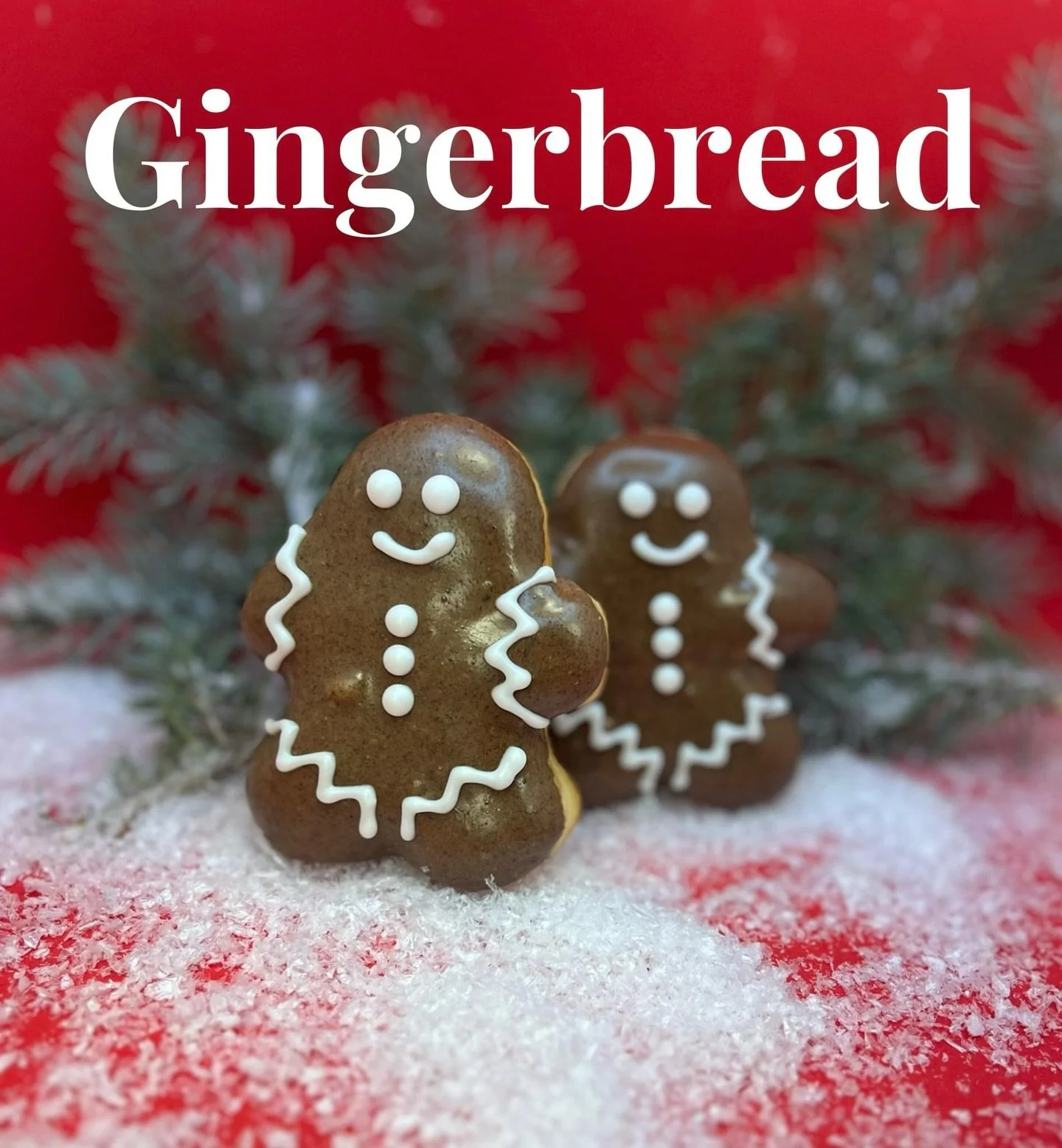 Dec DOM Gingerbread 2025.jpg