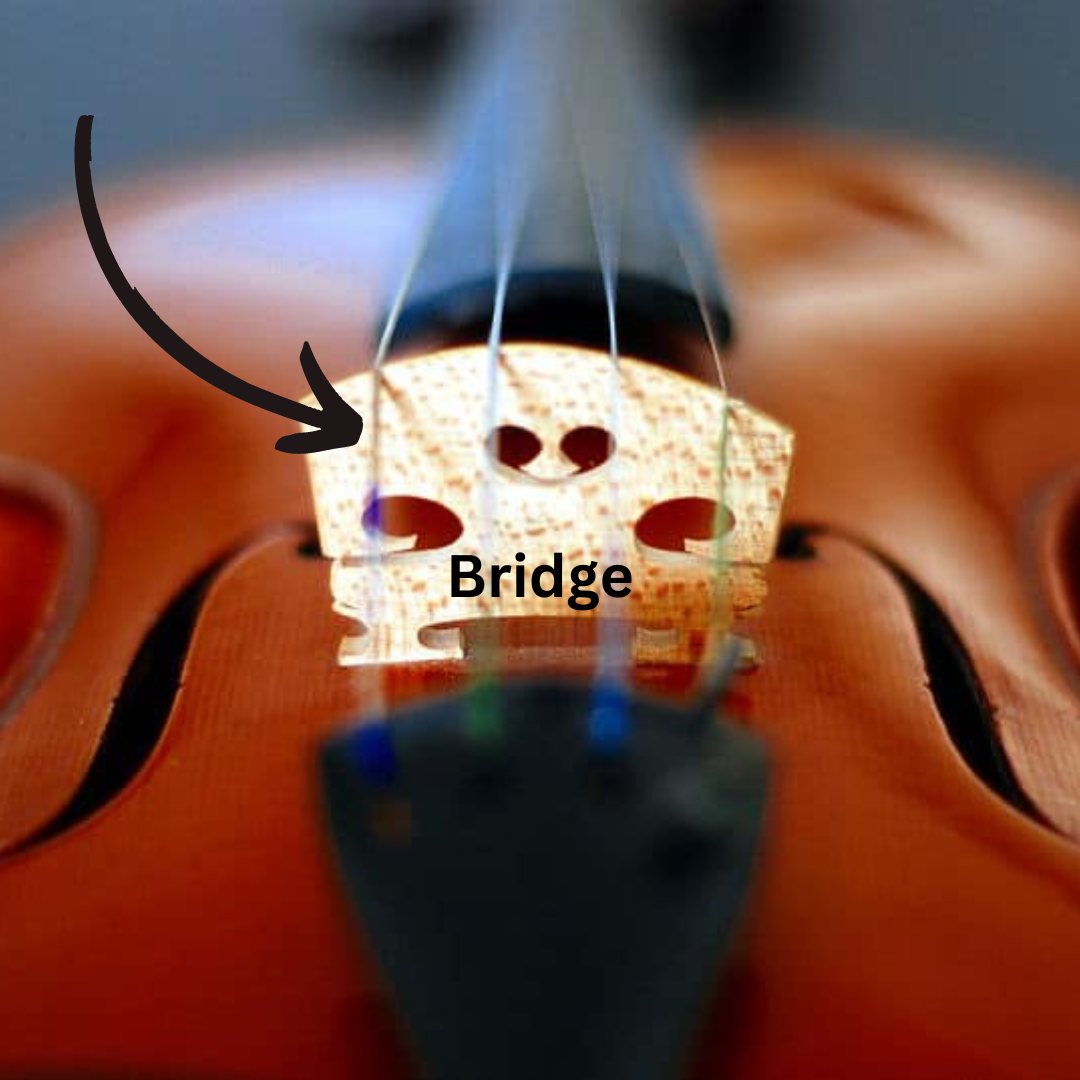 How does the violin make sound? — Suzuki Violin Lessons