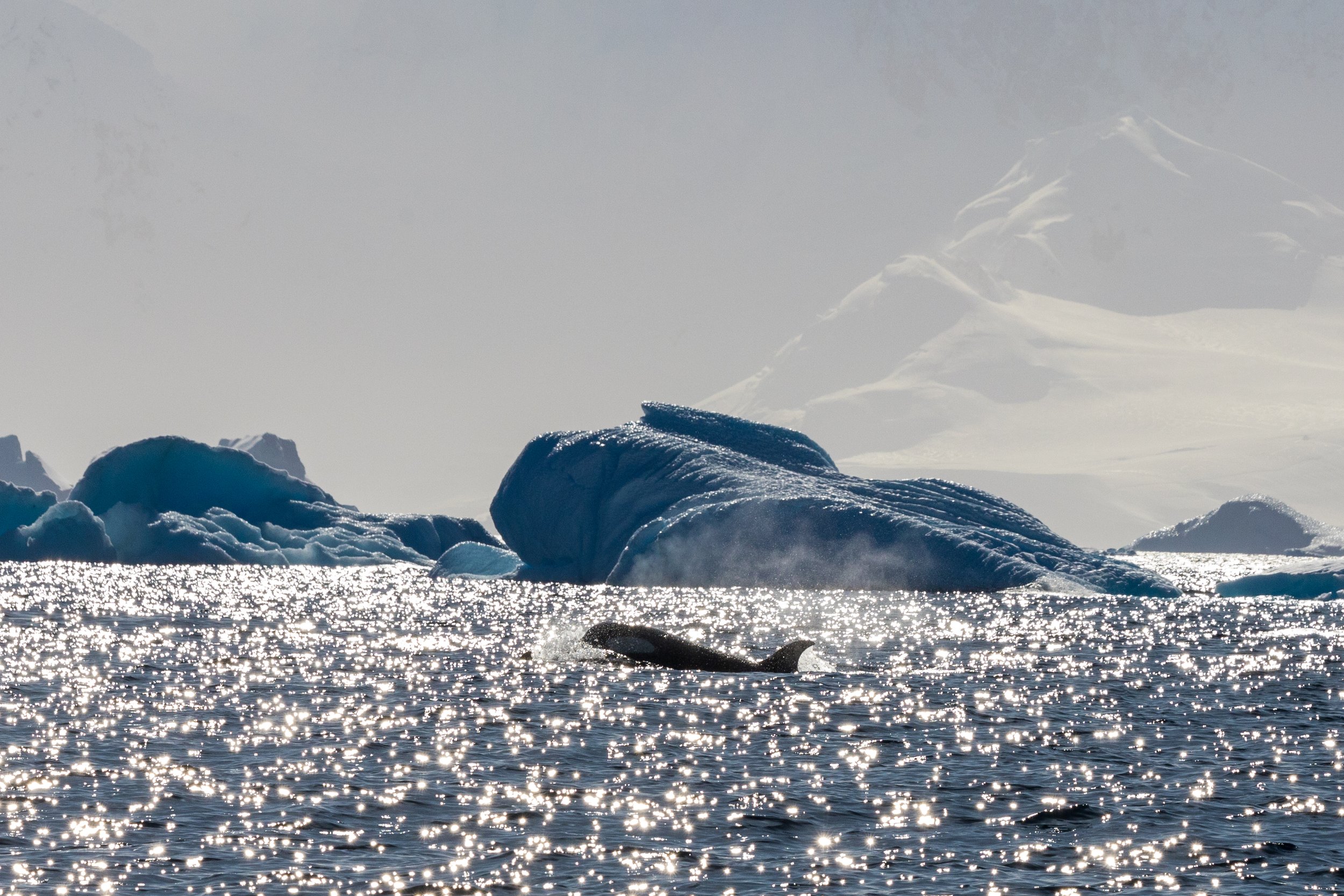 F42D327D-3BCB-4F4E-8DD1-CD7DDCB73276 copy.jpg