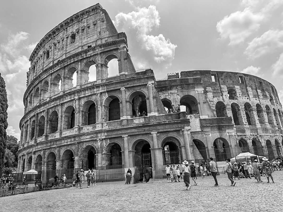 IMG_1330.jpg