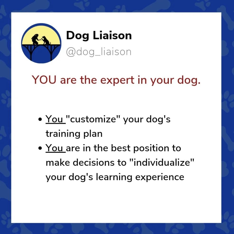 &quot;I am the expert in my dog. I no longer accept being demeaned implicitly or explicitly by dog culture.

&quot;I will find a coach who teaches me HOW to think, not barks commands at me and thinks for me.&quot; 

Repeat this mantra, Super Guardian