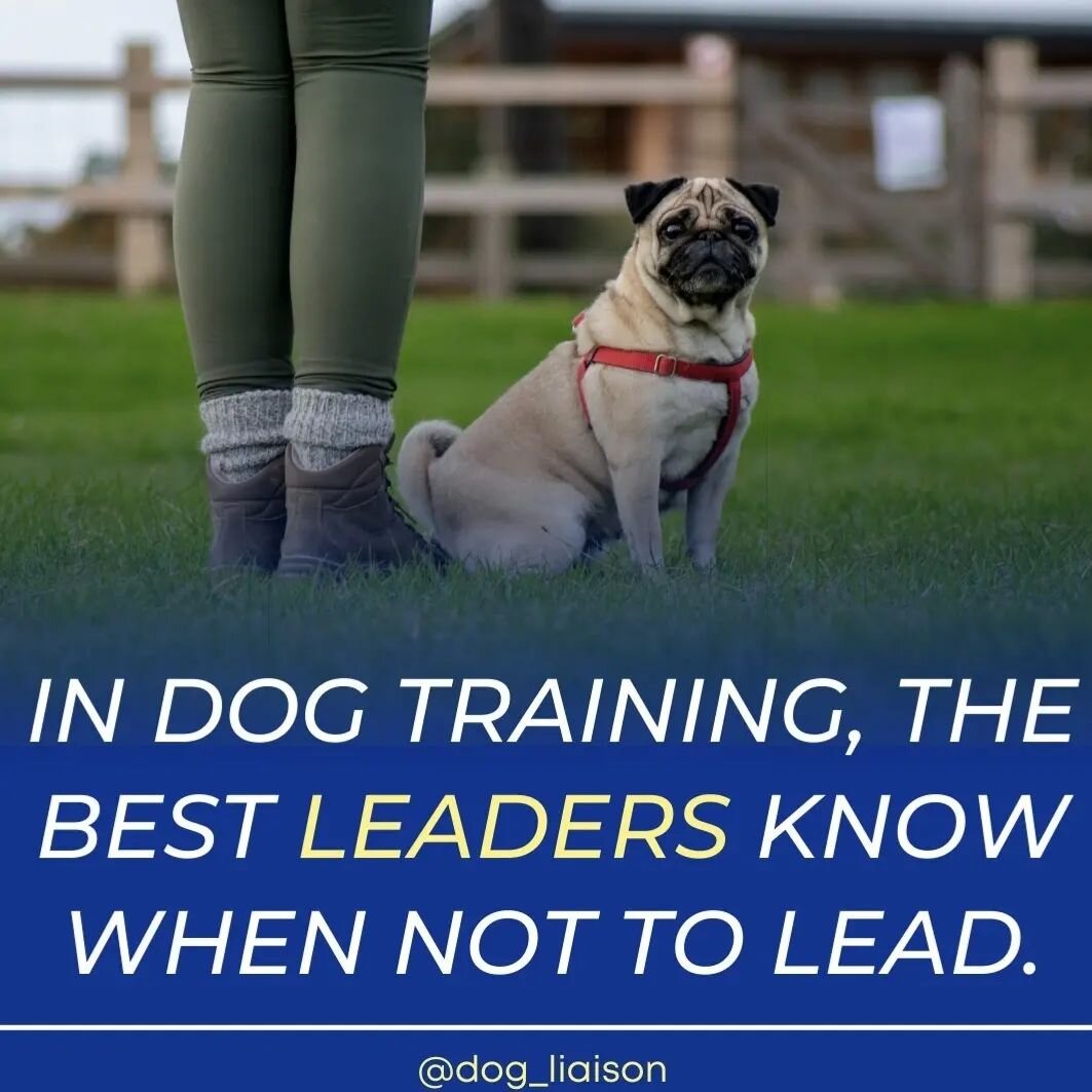If you&rsquo;re a real leader, you&rsquo;re often also a follower.
Here&rsquo;s a hard truth:

Real leaders are equally good at being followers when the time is right.

Not all followers can be leaders though.

We get so wrapped up in telling our dog