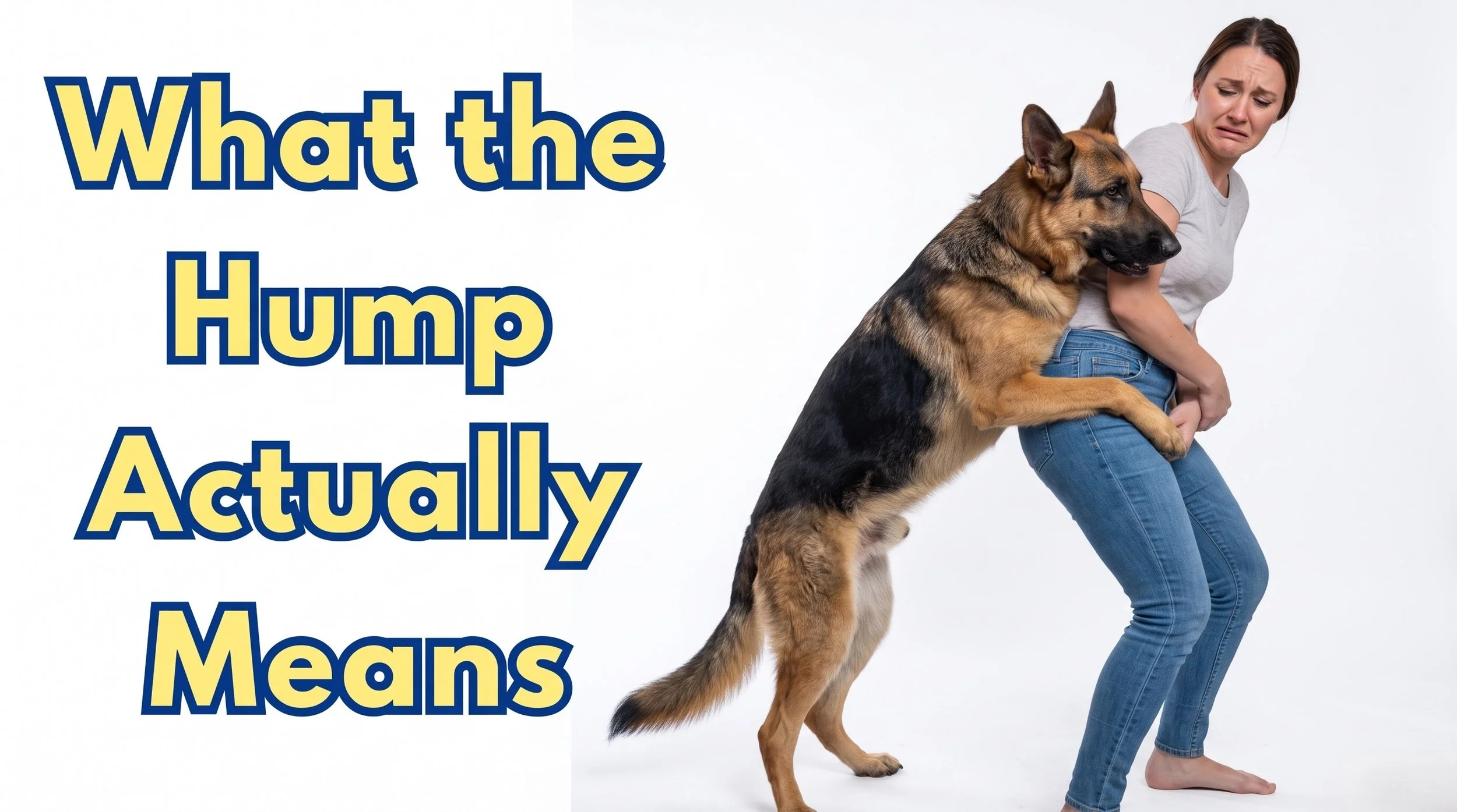 Why Dogs Hump &amp; How to Stop It