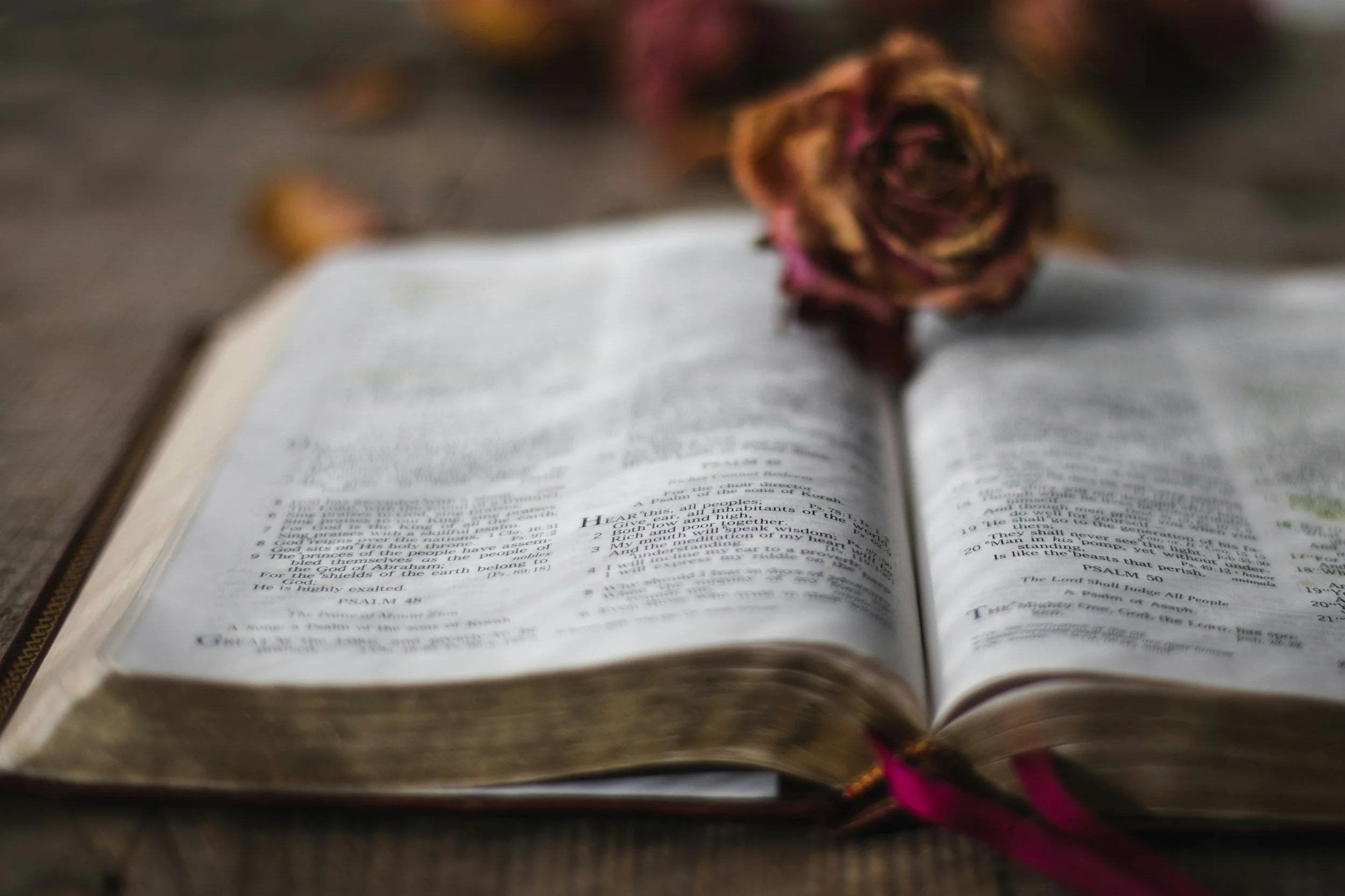 Open Bible with a wilted pink and brown rose resting on it, placed on a dark surface.
