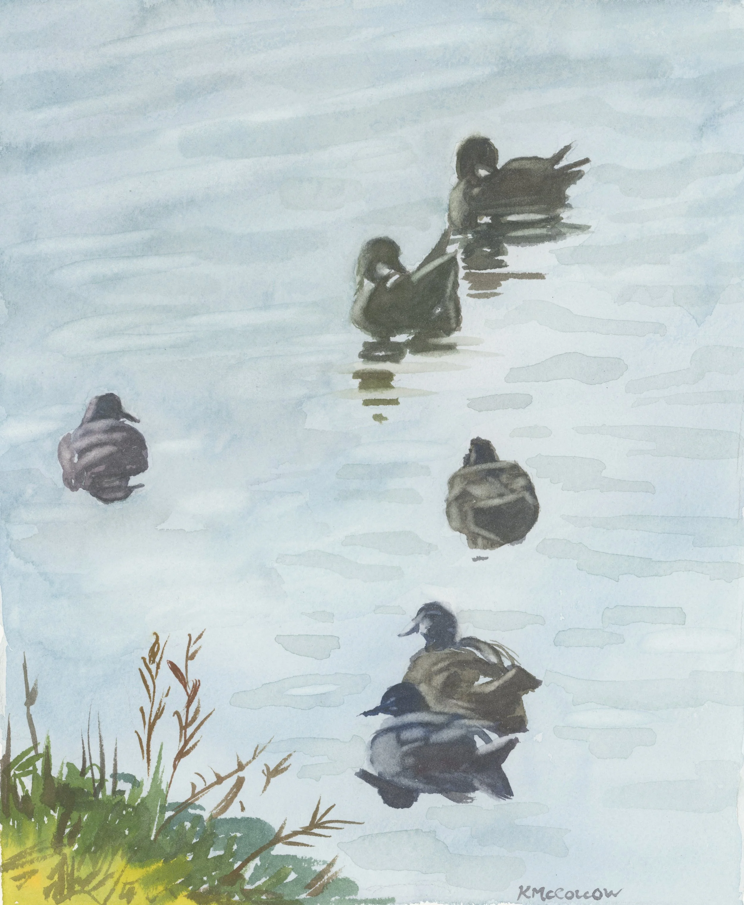 Ducks_Pinterest.jpg