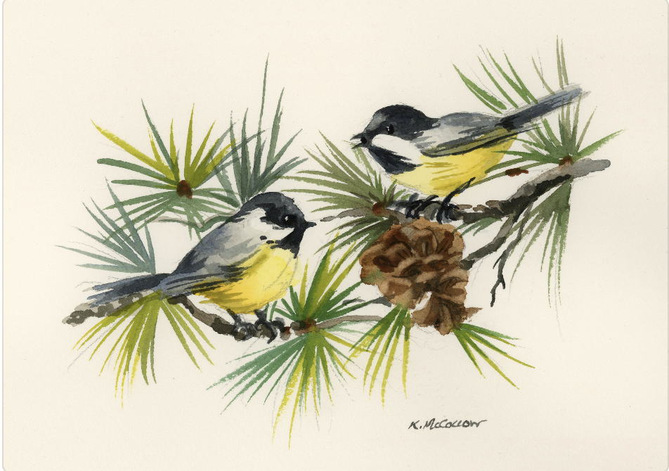 Chickadees