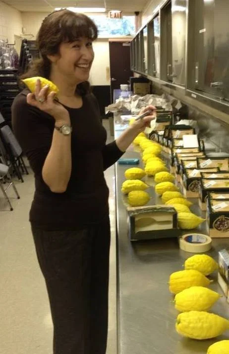 AAANaomi Etrog Beauty Pageant.jpg