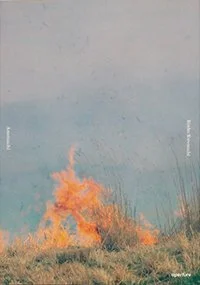 Ametsuchi by Rinko Kawauchi (Aperture, 2013)