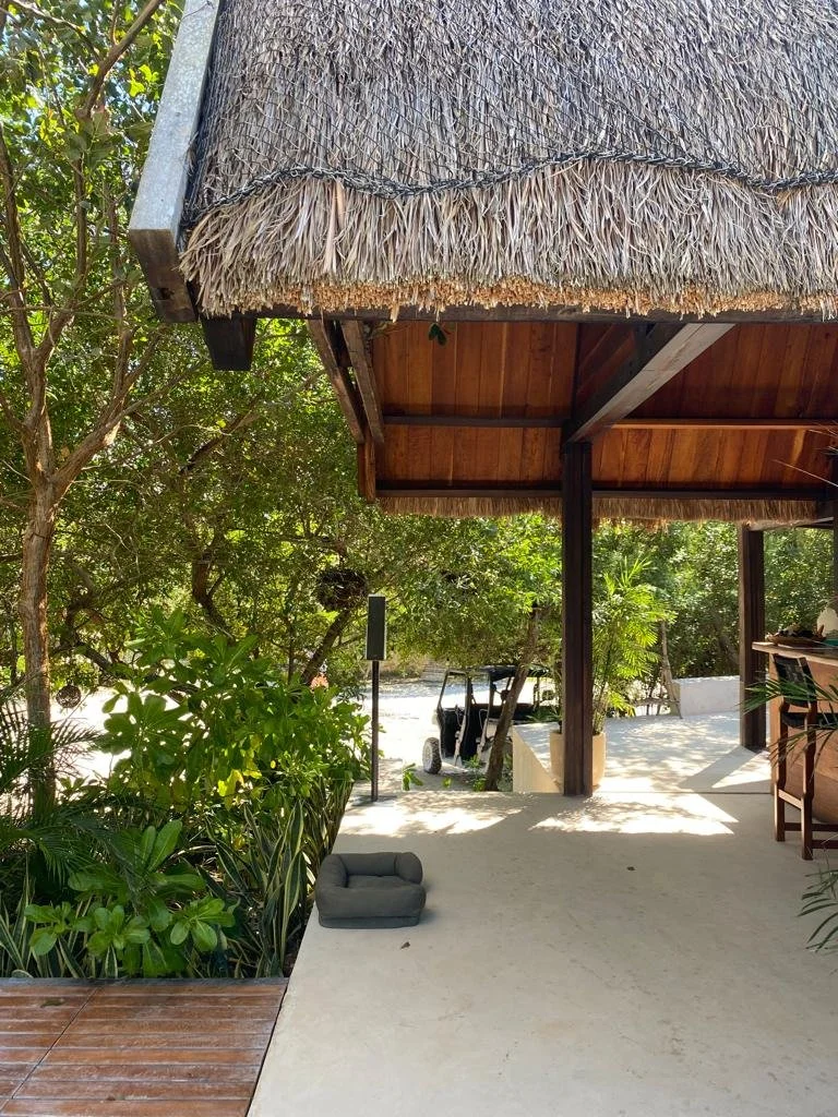 WhatsApp Image 2022-01-26 at 10.22.42 AM.jpeg