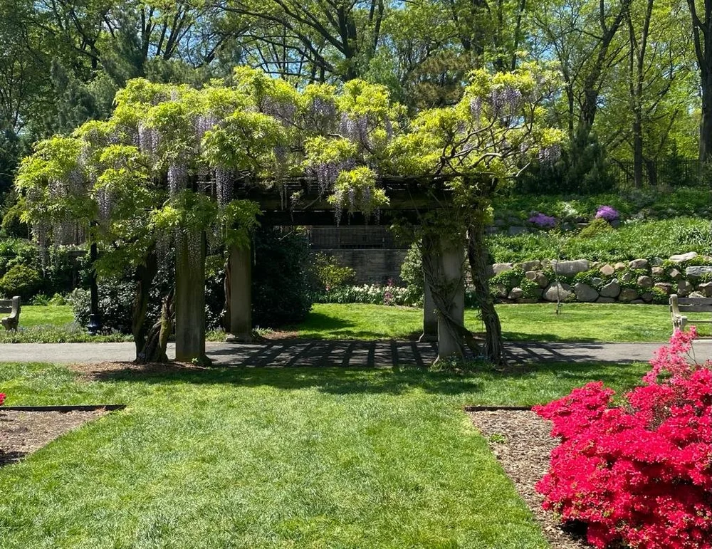 WhatsApp Image 2022-04-04 at 3.01.08 PM.jpeg