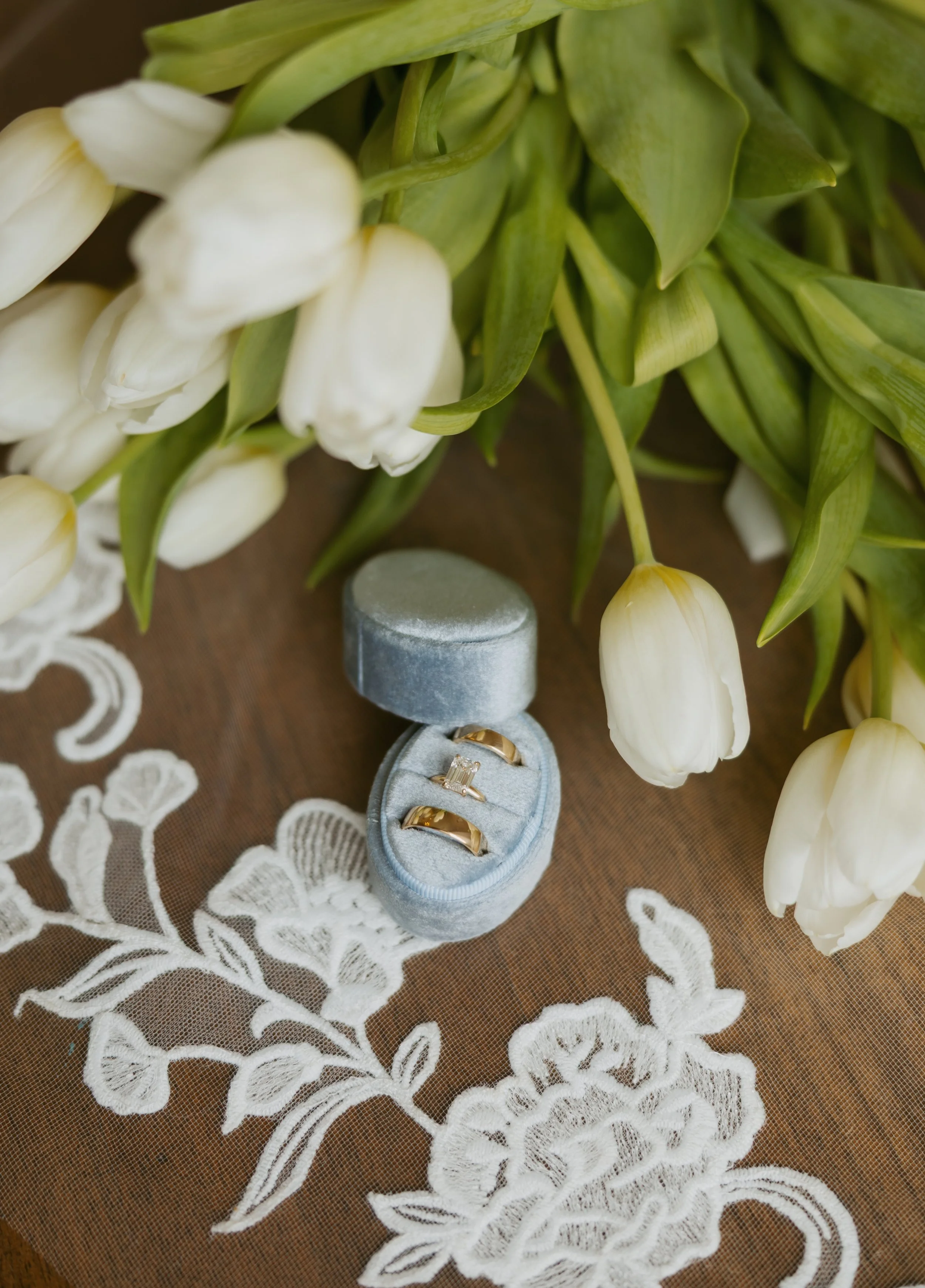 KelseyChapmanPhoto-22.jpg