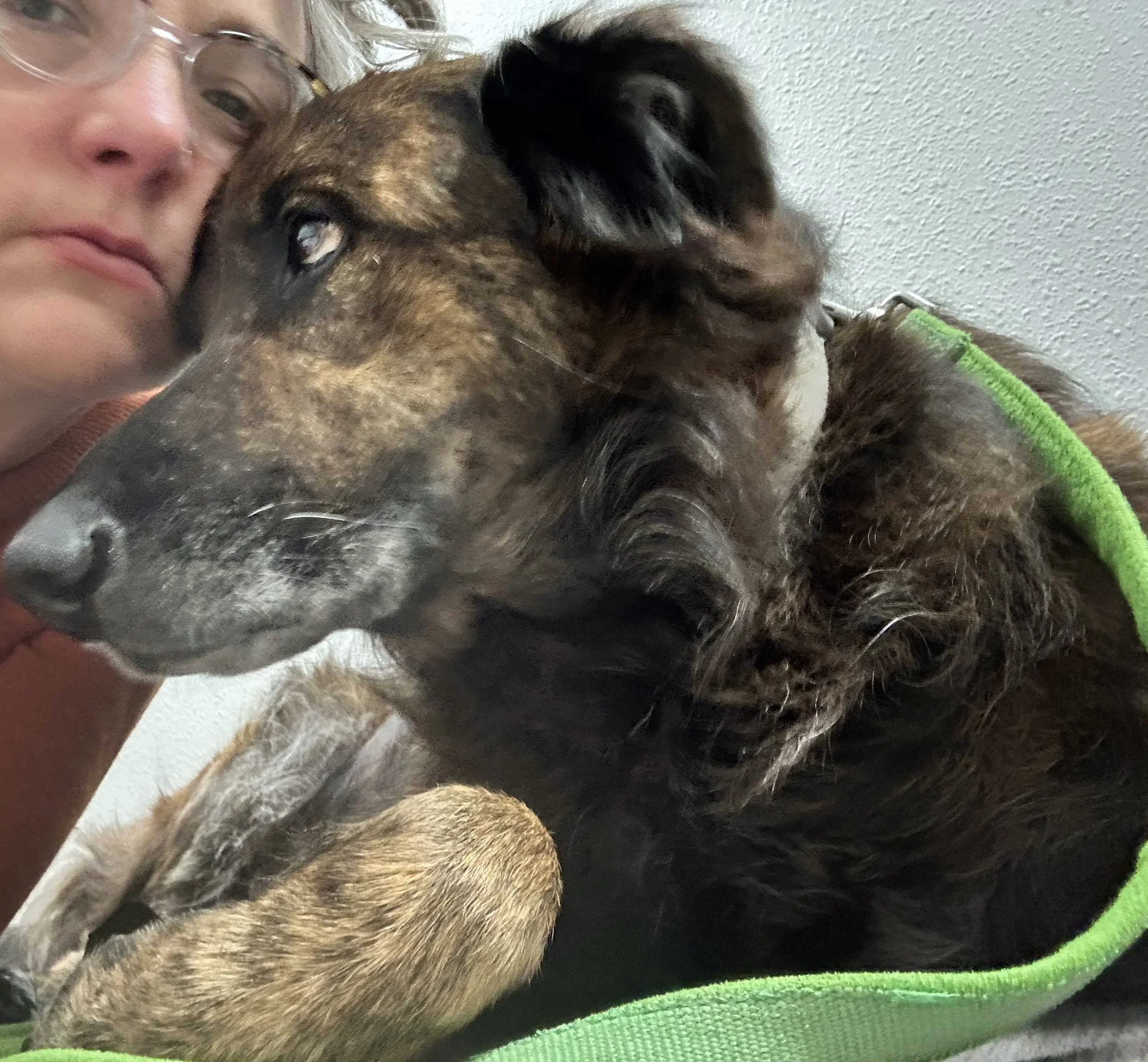 Where's the Joy in Internal Bleeding?