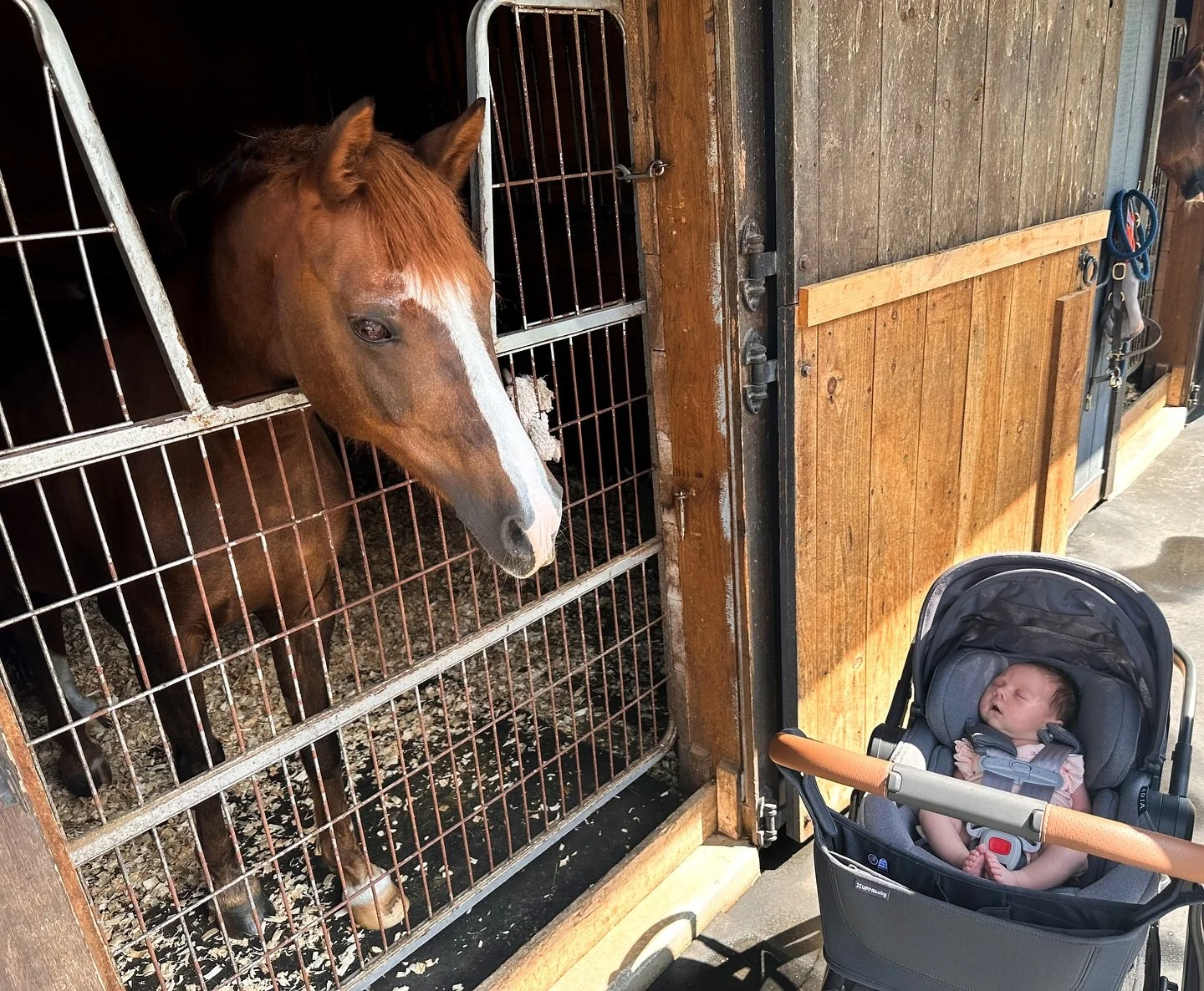 Just a girl and her pony 💕