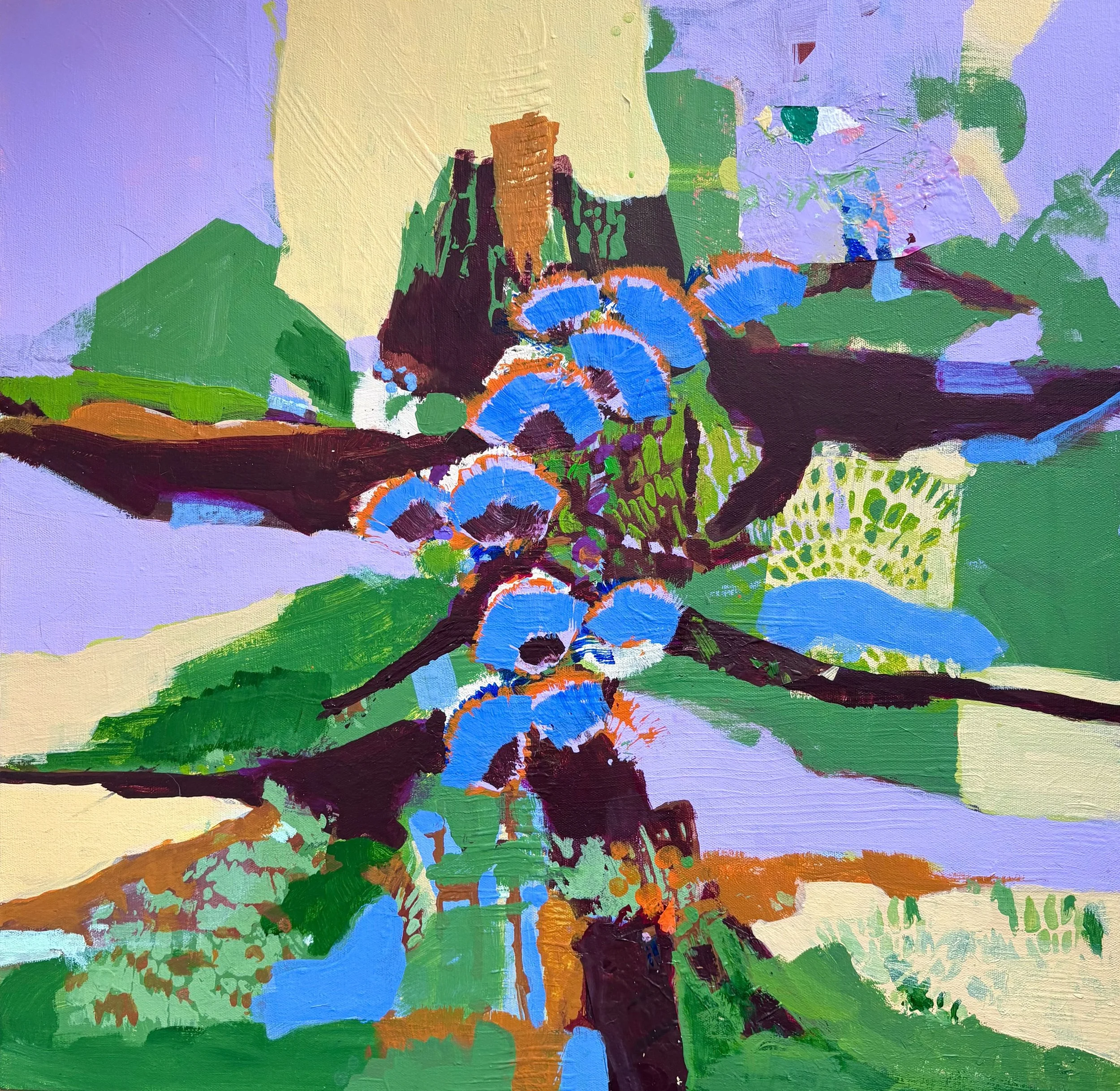  soil, roots, maps, networks 