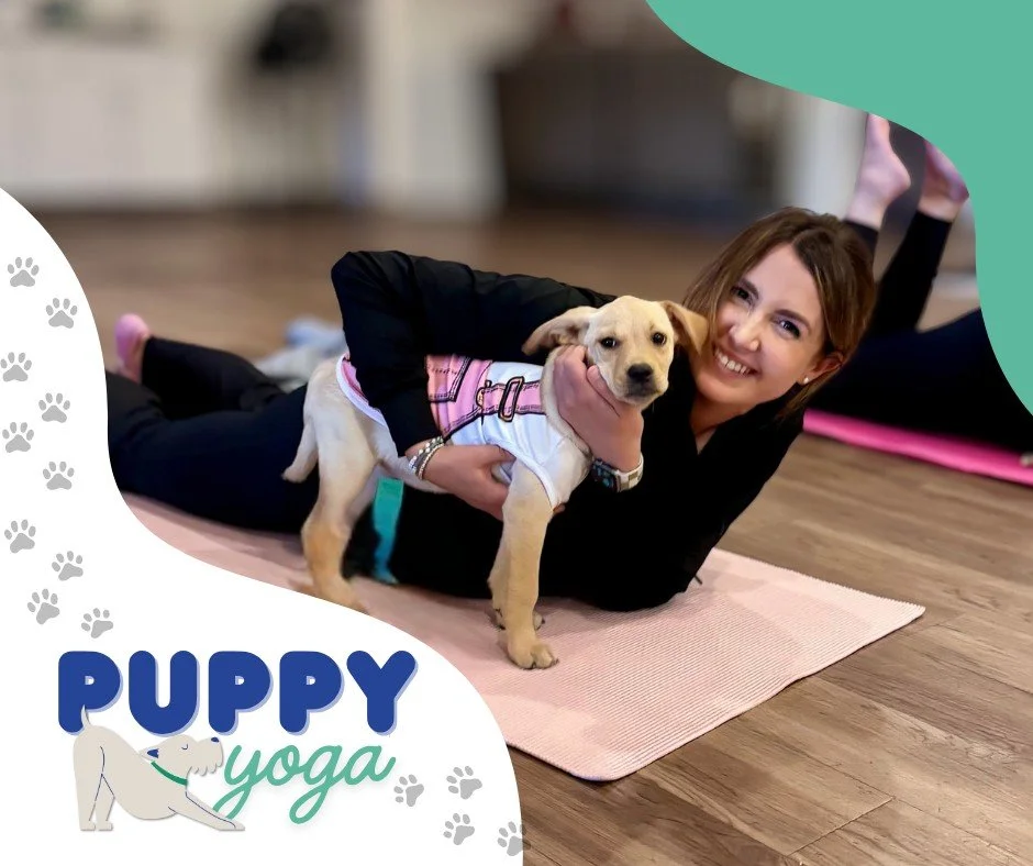 Puppy Yoga