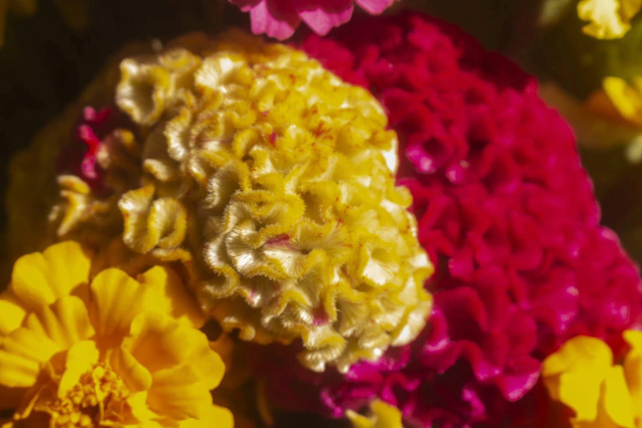 michaelsgardenflower-3.jpg