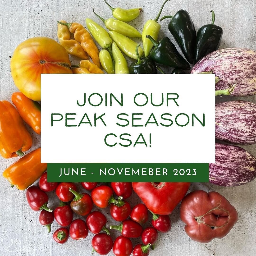 It is MAY and that means that our Peak Season CSA is right around the corner! 🎉🍎
We have been a Community-Supported Agriculture (CSA) farm from the VERY beginning, since 2012, and we absolutely LOVE growing for our neighbors, friends and community.